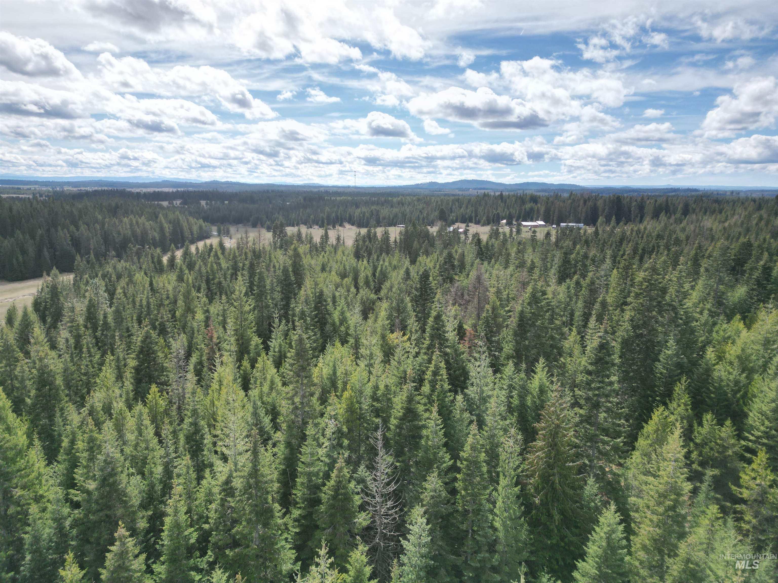 TBD Lot 10 Spring Lane, Weippe, Idaho 83553, Land For Sale, Price $100,000,MLS 98980741