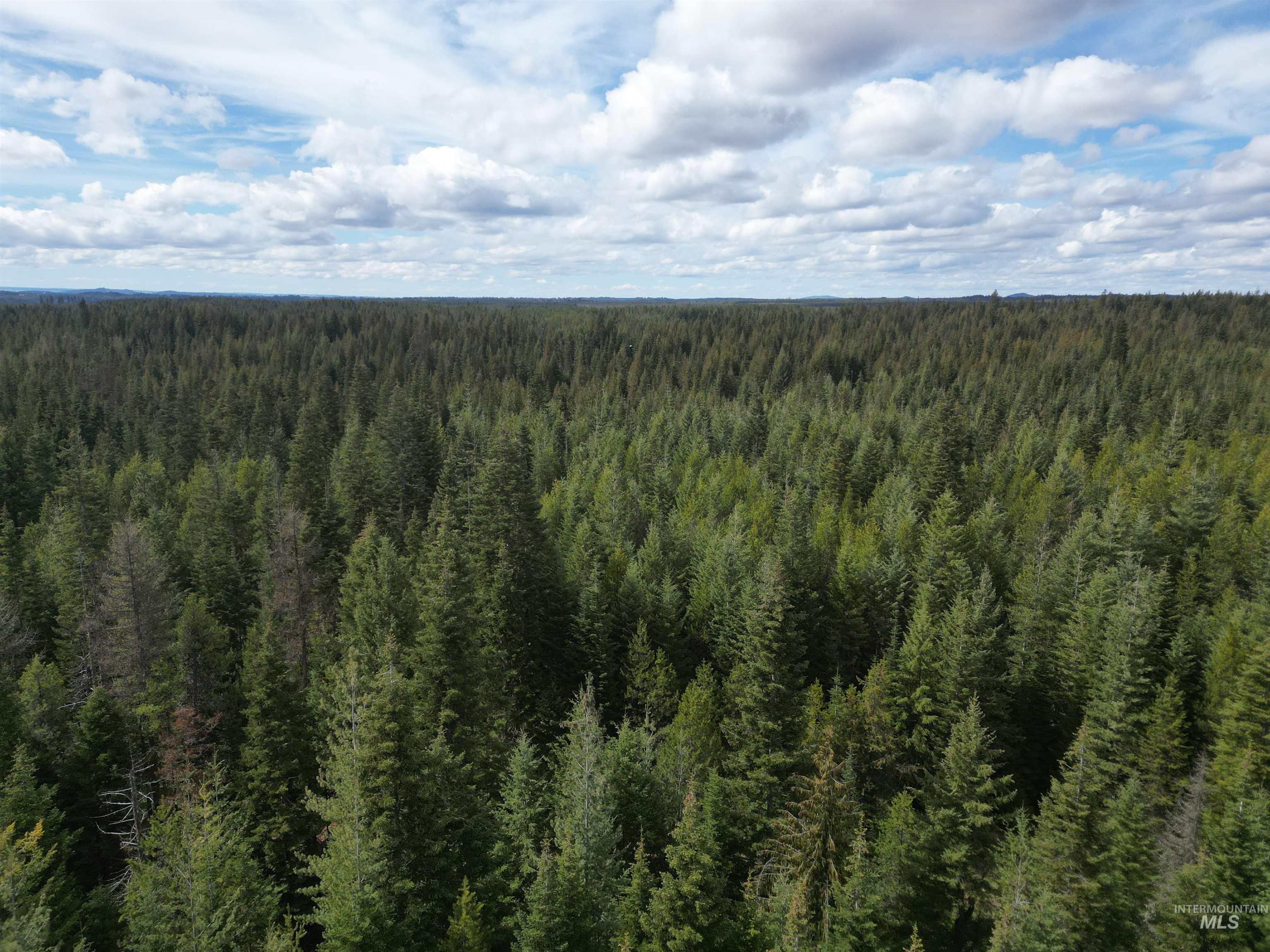 TBD Lot 10 Spring Lane, Weippe, Idaho 83553, Land For Sale, Price $100,000,MLS 98980741