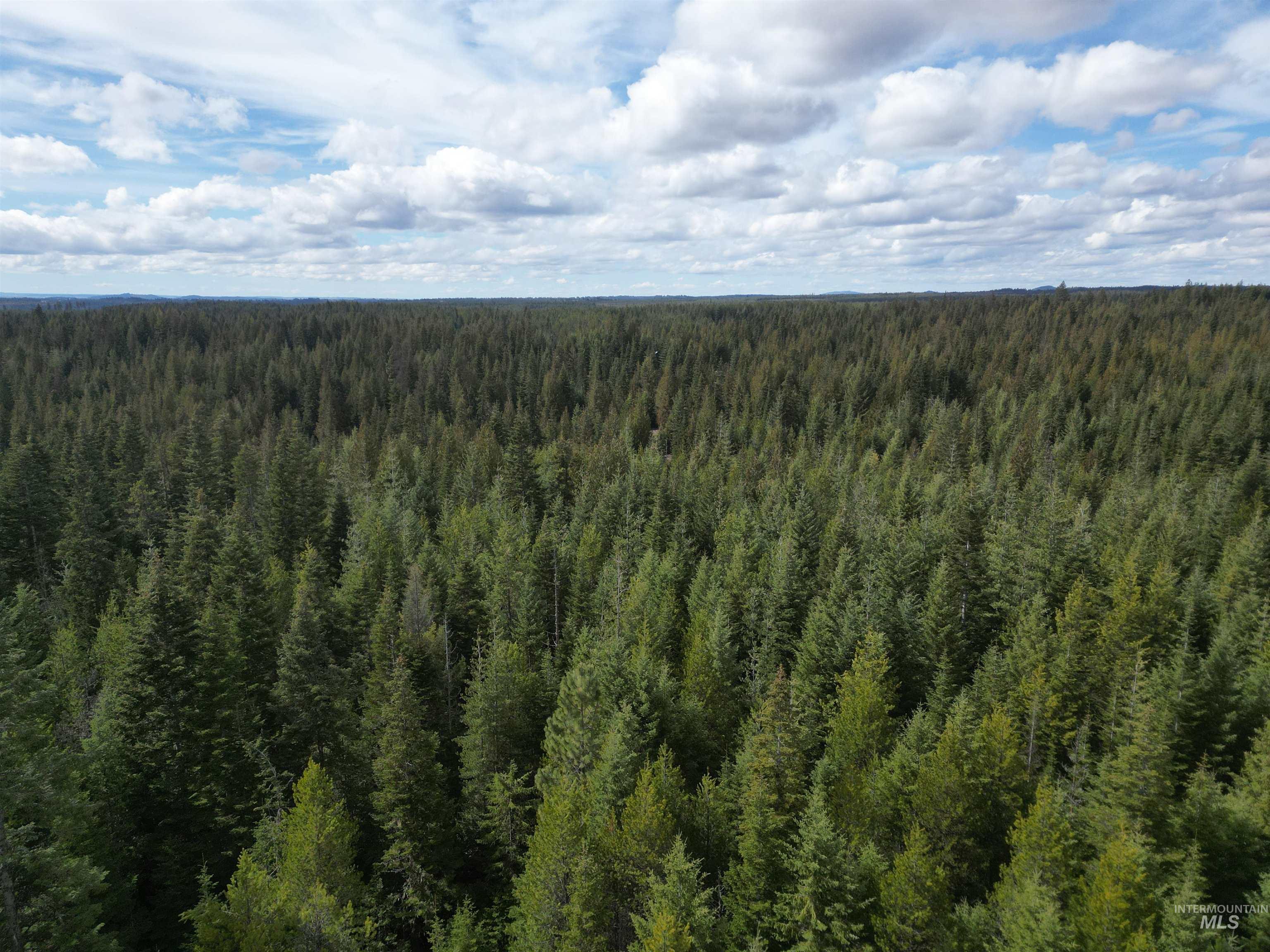 TBD Lot 11 Spring Lane, Weippe, Idaho 83553, Land For Sale, Price $100,000,MLS 98980742