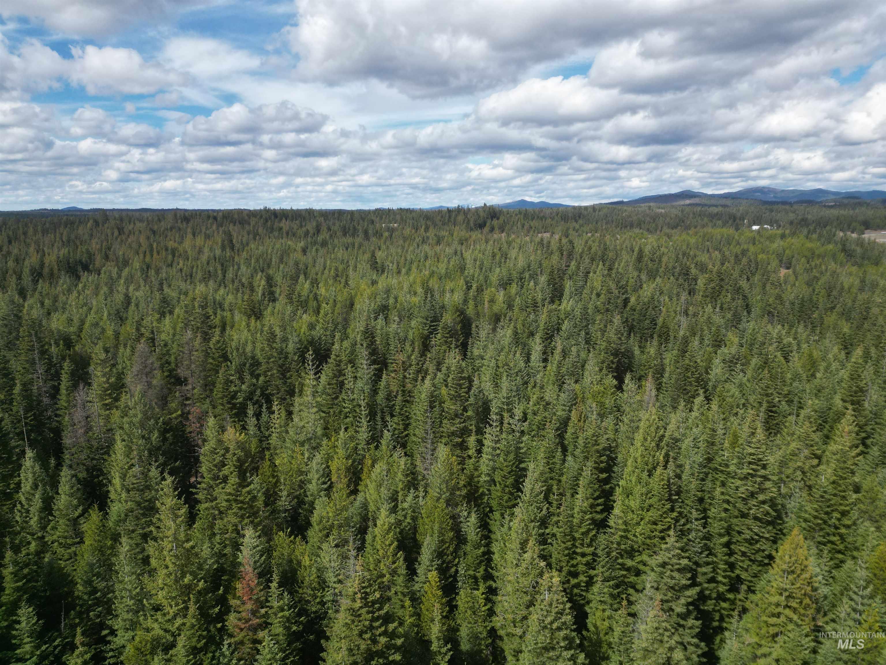 TBD Lot 11 Spring Lane, Weippe, Idaho 83553, Land For Sale, Price $100,000,MLS 98980742