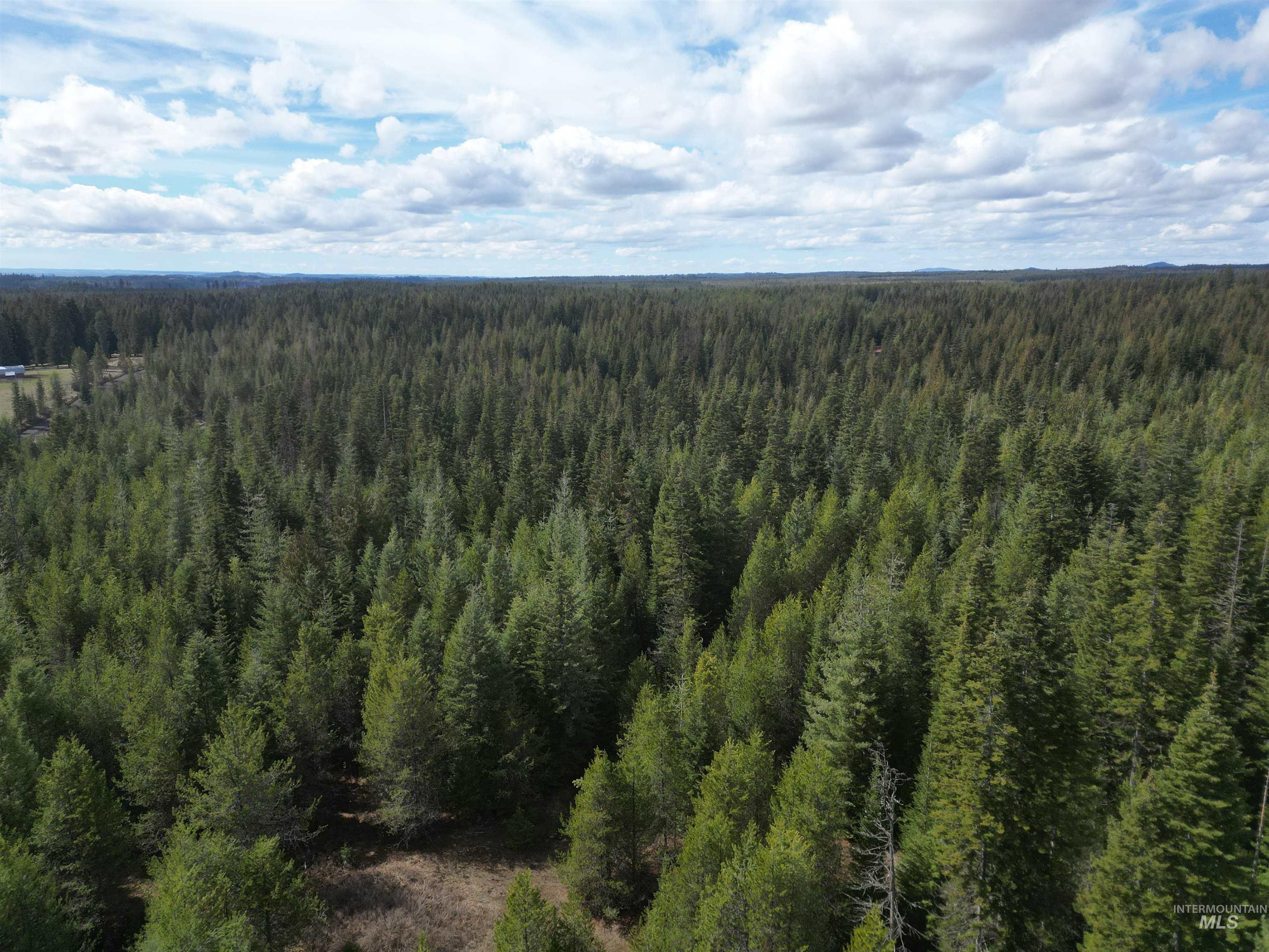 TBD Lot 11 Spring Lane, Weippe, Idaho 83553, Land For Sale, Price $100,000,MLS 98980742