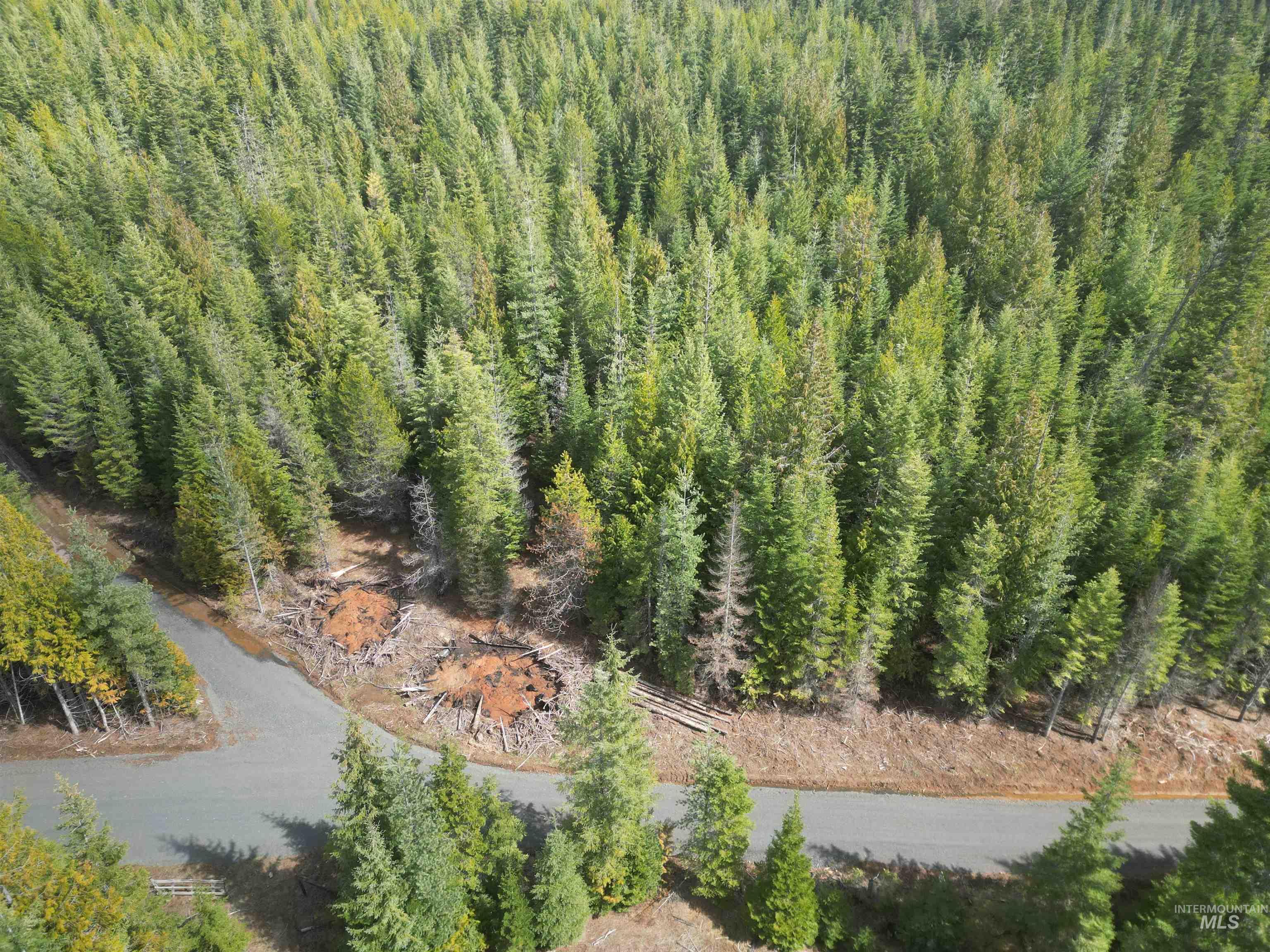 TBD Lot 11 Spring Lane, Weippe, Idaho 83553, Land For Sale, Price $100,000,MLS 98980742