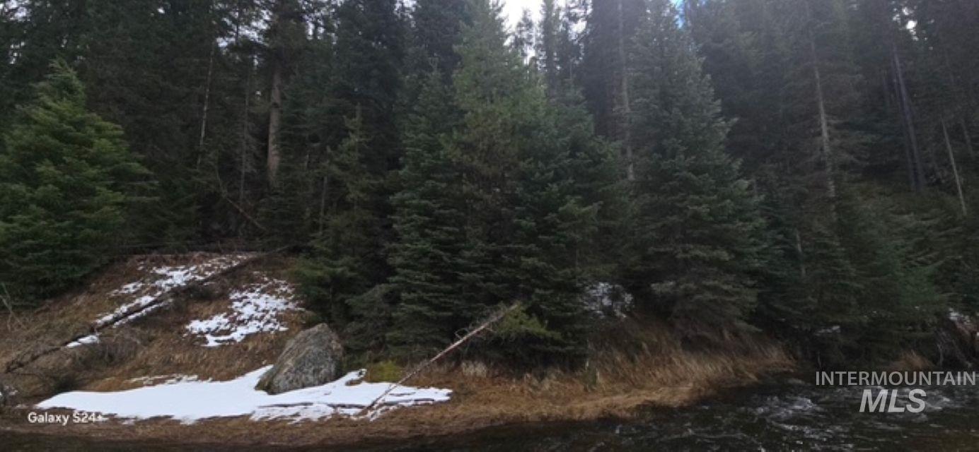 4250 & 4300 American River Road, Elk City, Idaho 83525, 3 Bedrooms, 2 Bathrooms, Residential For Sale, Price $555,000,MLS 98980746