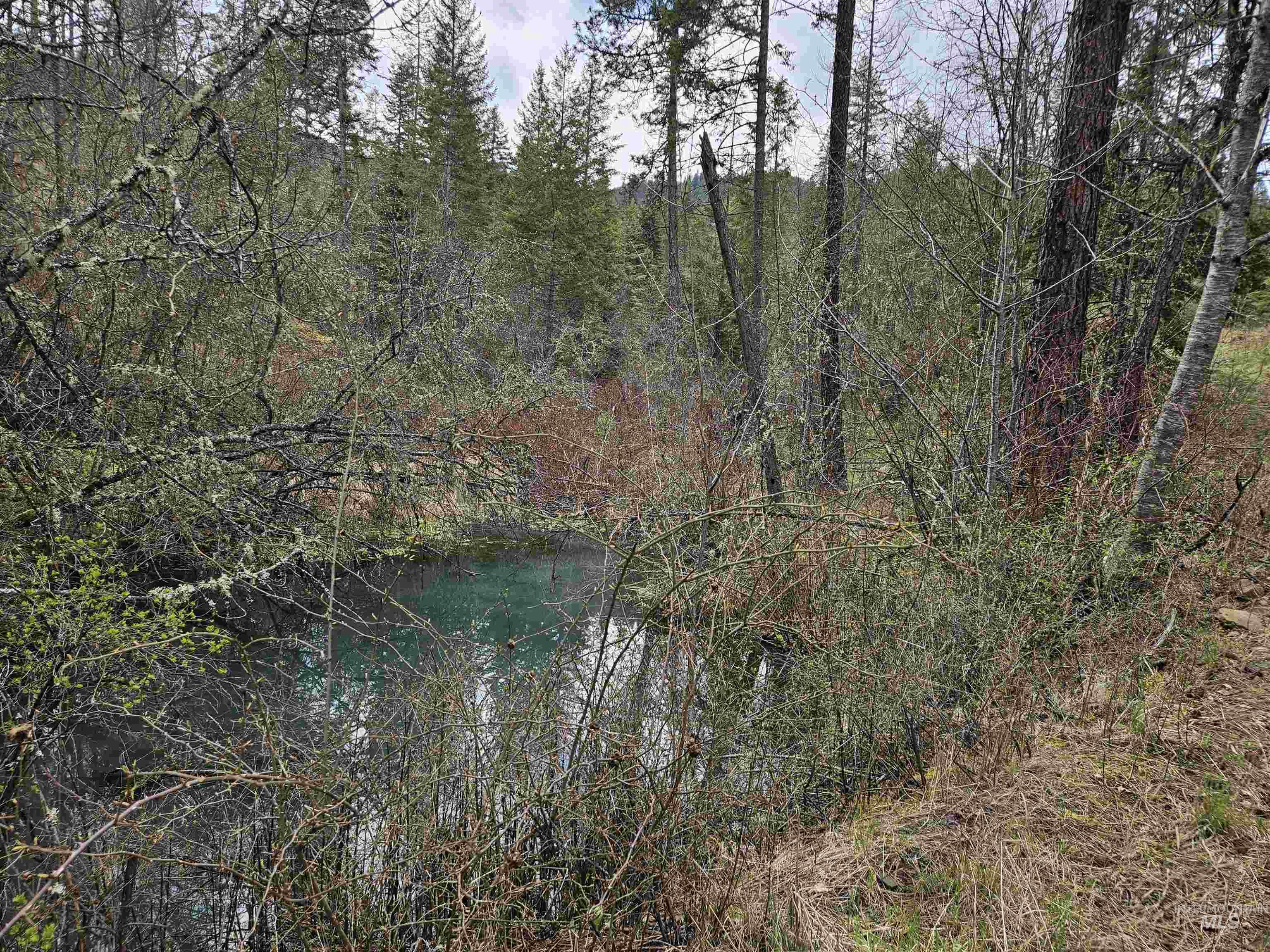TBD O'Brien, Orofino, Idaho 83544, Land For Sale, Price $549,900,MLS 98980747