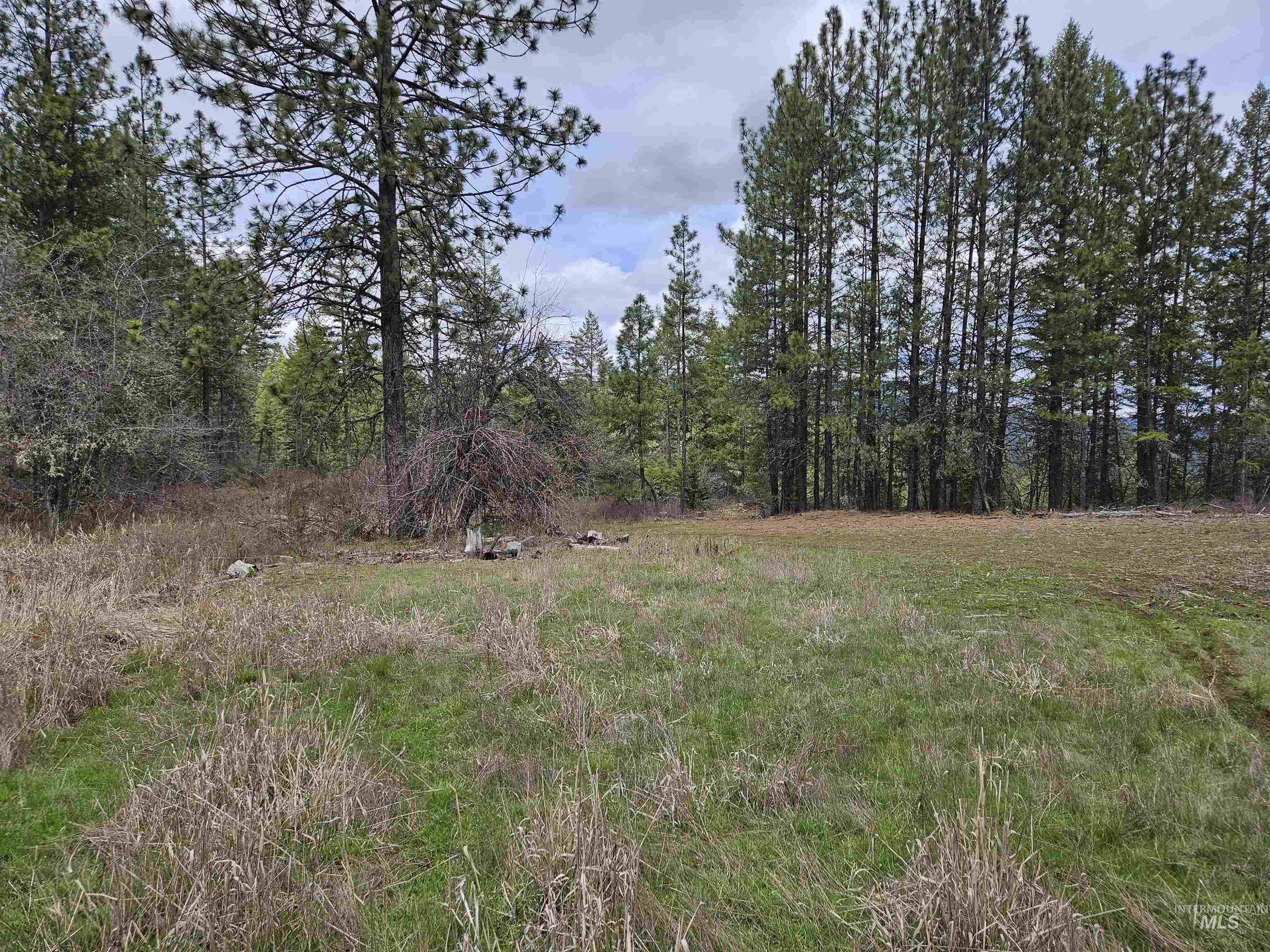 TBD O'Brien, Orofino, Idaho 83544, Land For Sale, Price $549,900,MLS 98980747