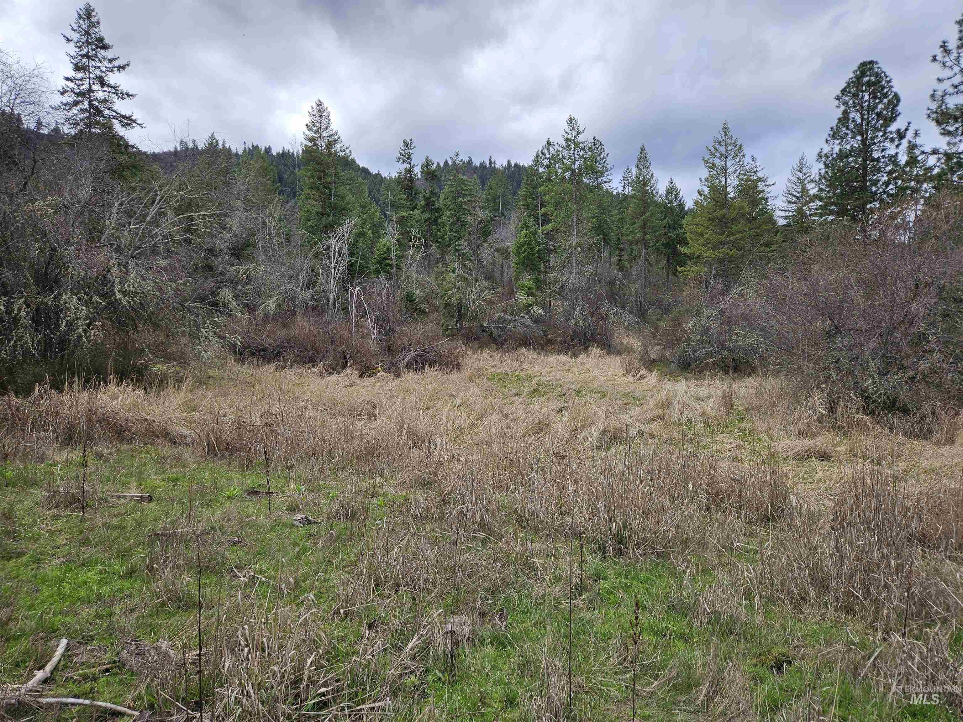 TBD O'Brien, Orofino, Idaho 83544, Land For Sale, Price $549,900,MLS 98980747