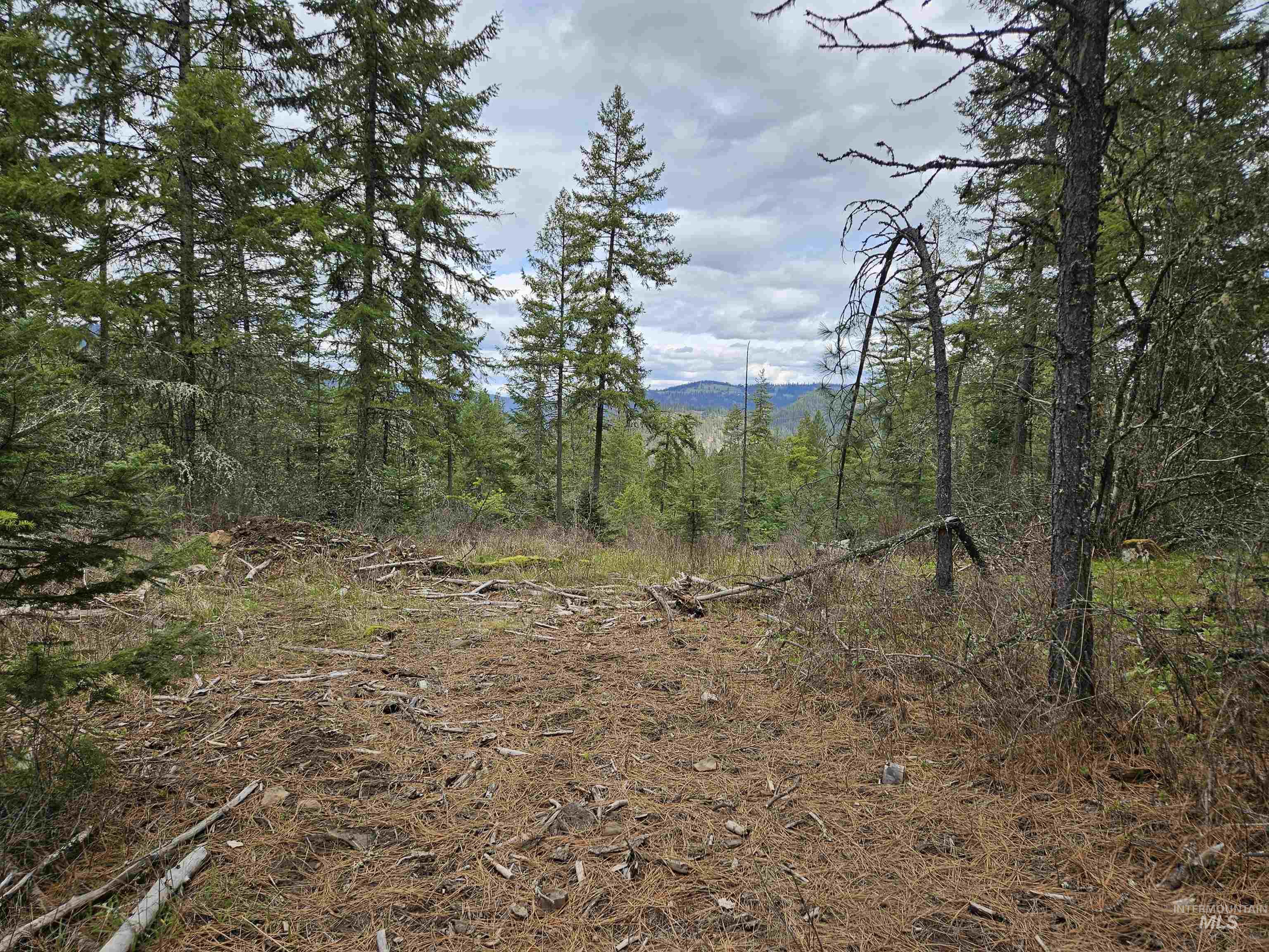 TBD O'Brien, Orofino, Idaho 83544, Land For Sale, Price $549,900,MLS 98980747