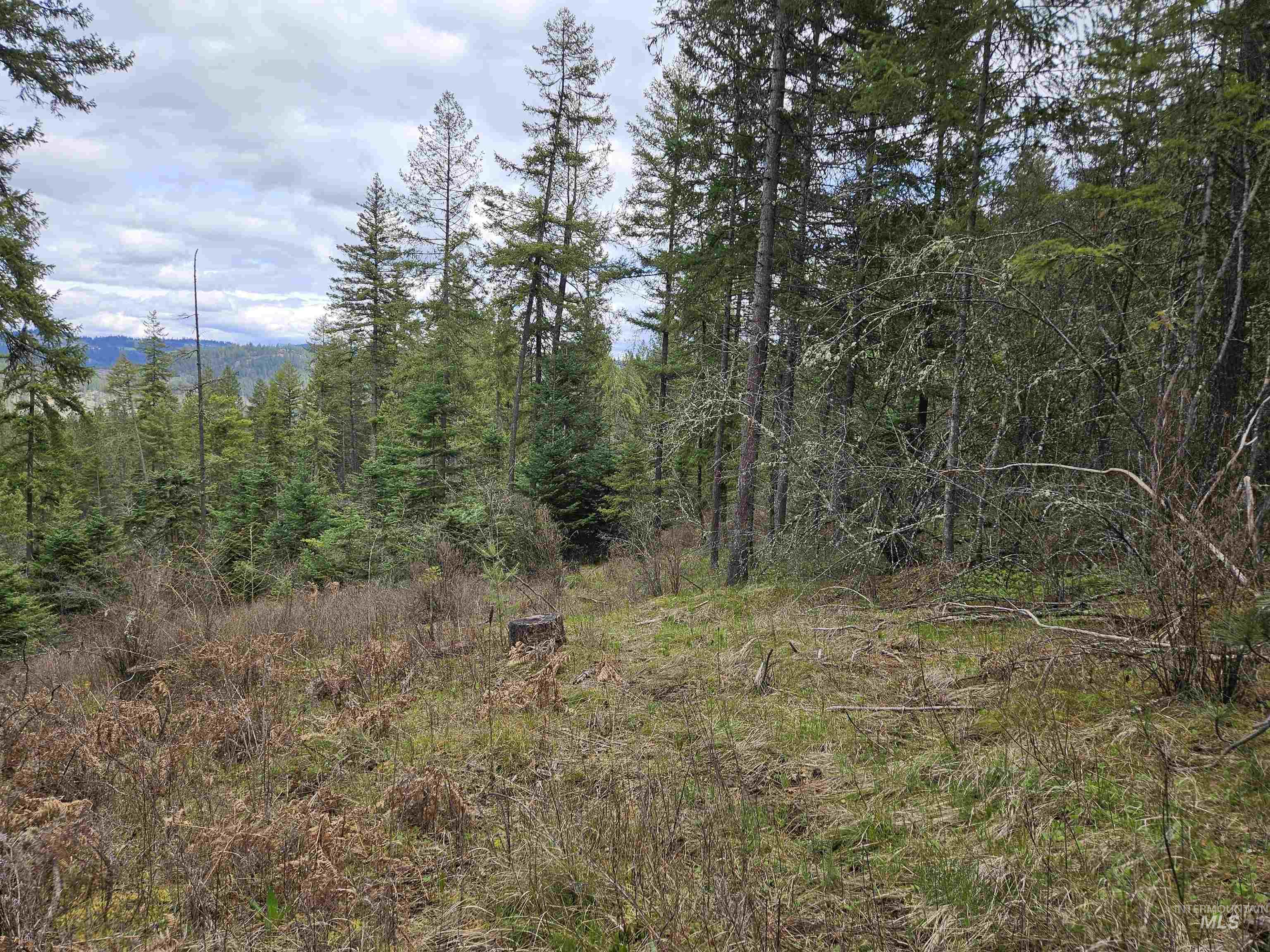 TBD O'Brien, Orofino, Idaho 83544, Land For Sale, Price $549,900,MLS 98980747