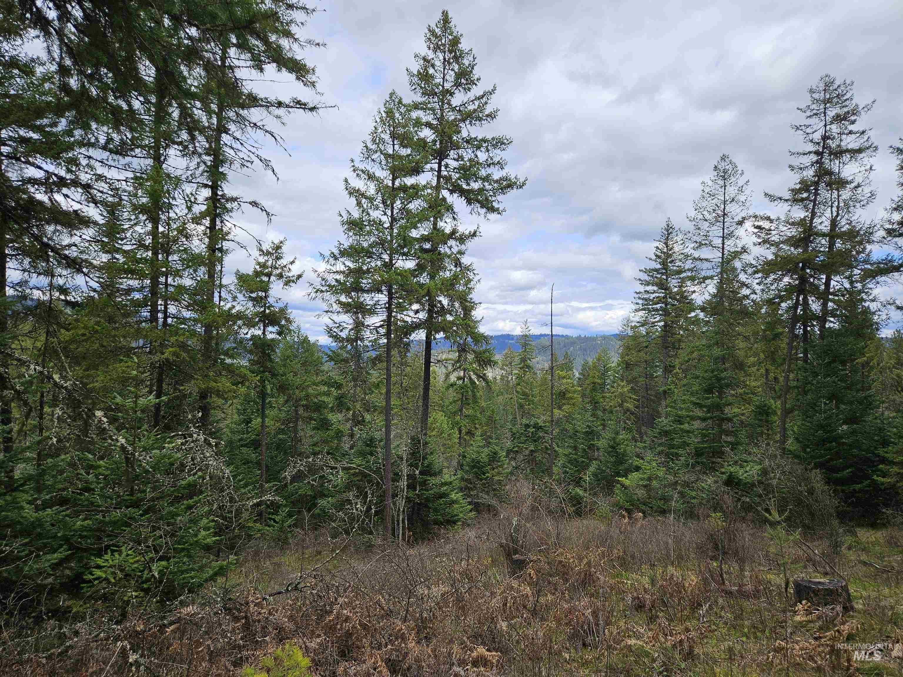 TBD O'Brien, Orofino, Idaho 83544, Land For Sale, Price $549,900,MLS 98980747