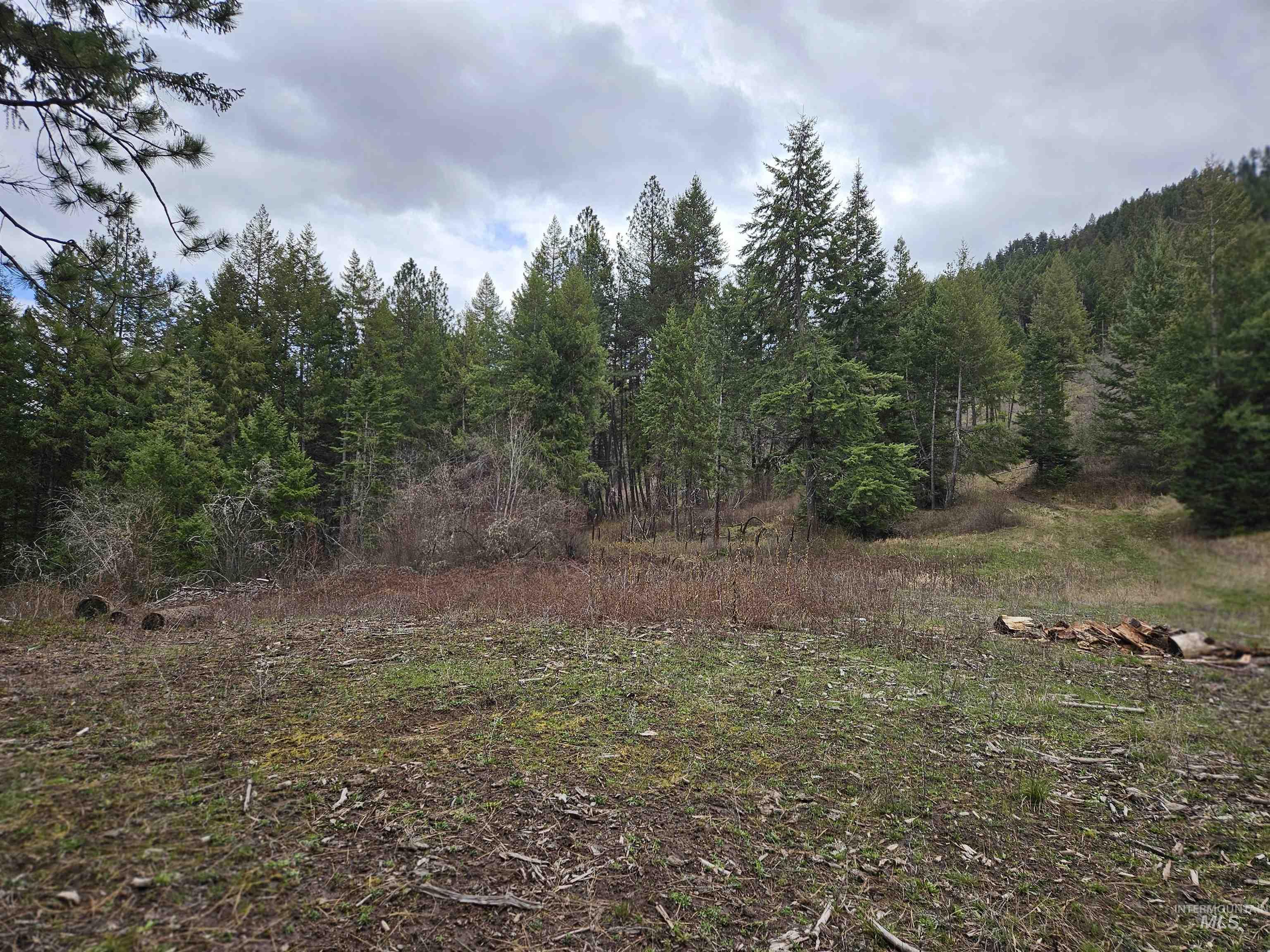 TBD O'Brien, Orofino, Idaho 83544, Land For Sale, Price $549,900,MLS 98980747