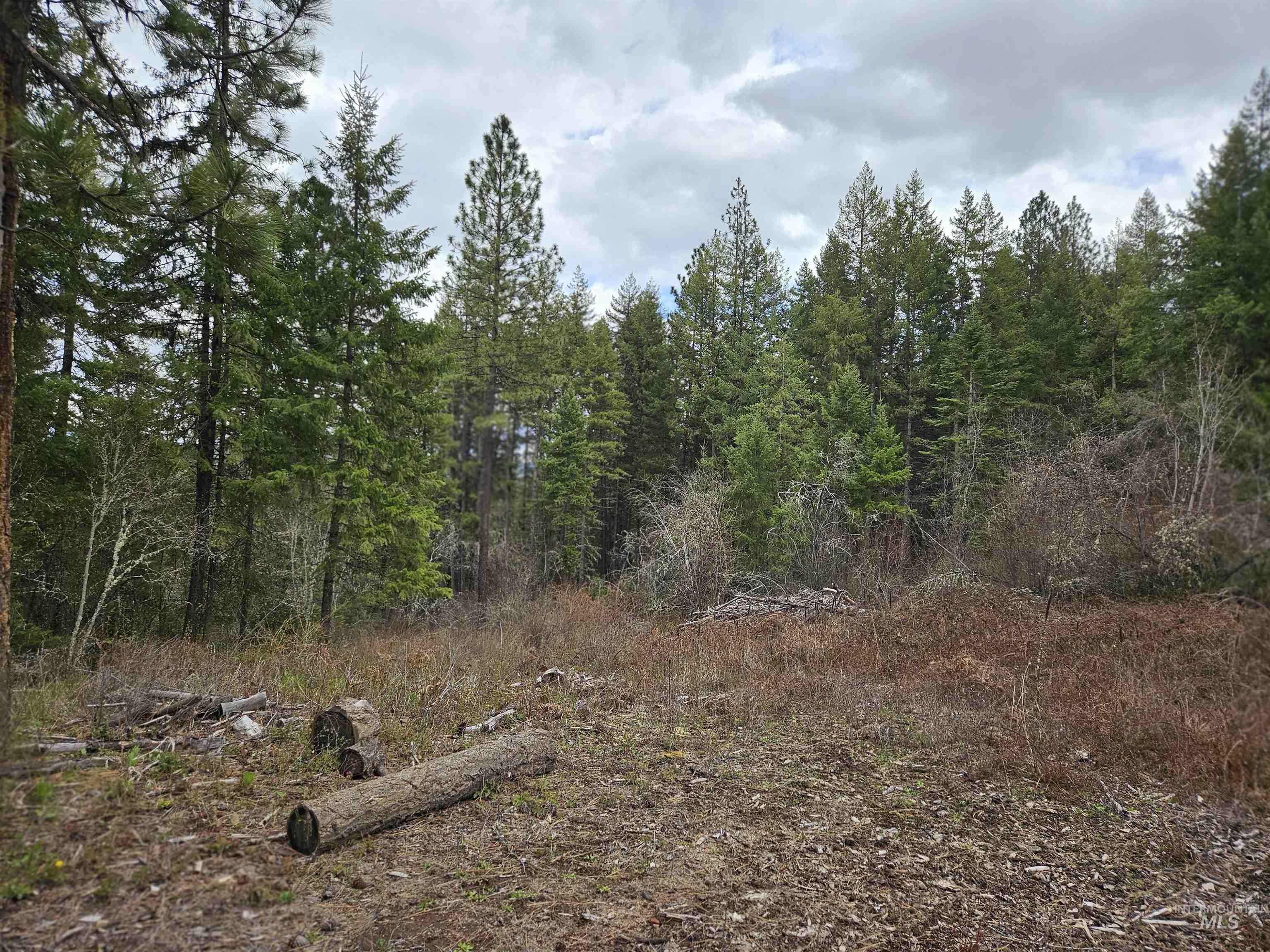 TBD O'Brien, Orofino, Idaho 83544, Land For Sale, Price $549,900,MLS 98980747