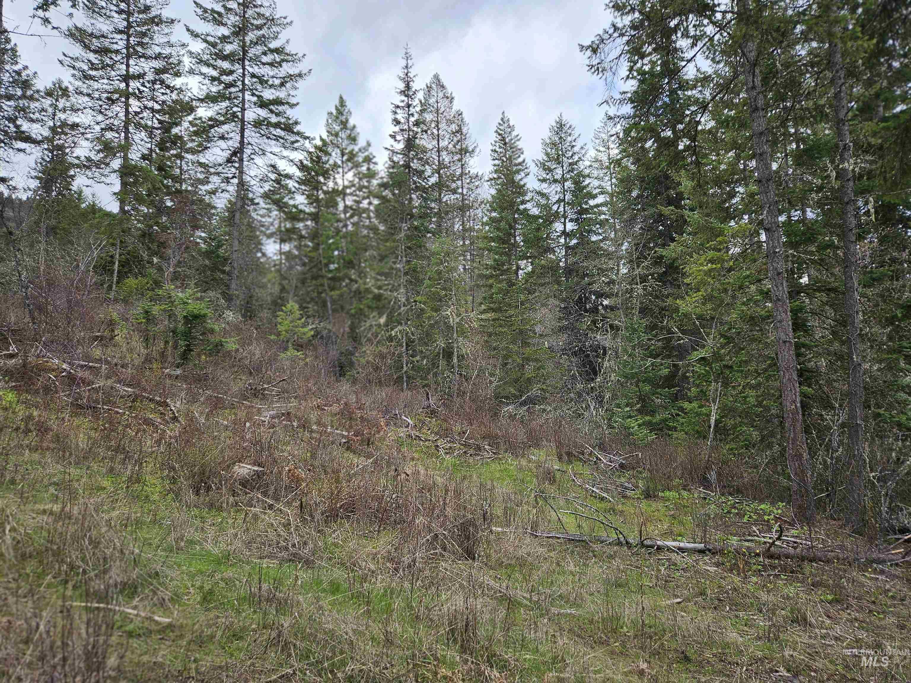 TBD O'Brien, Orofino, Idaho 83544, Land For Sale, Price $549,900,MLS 98980747