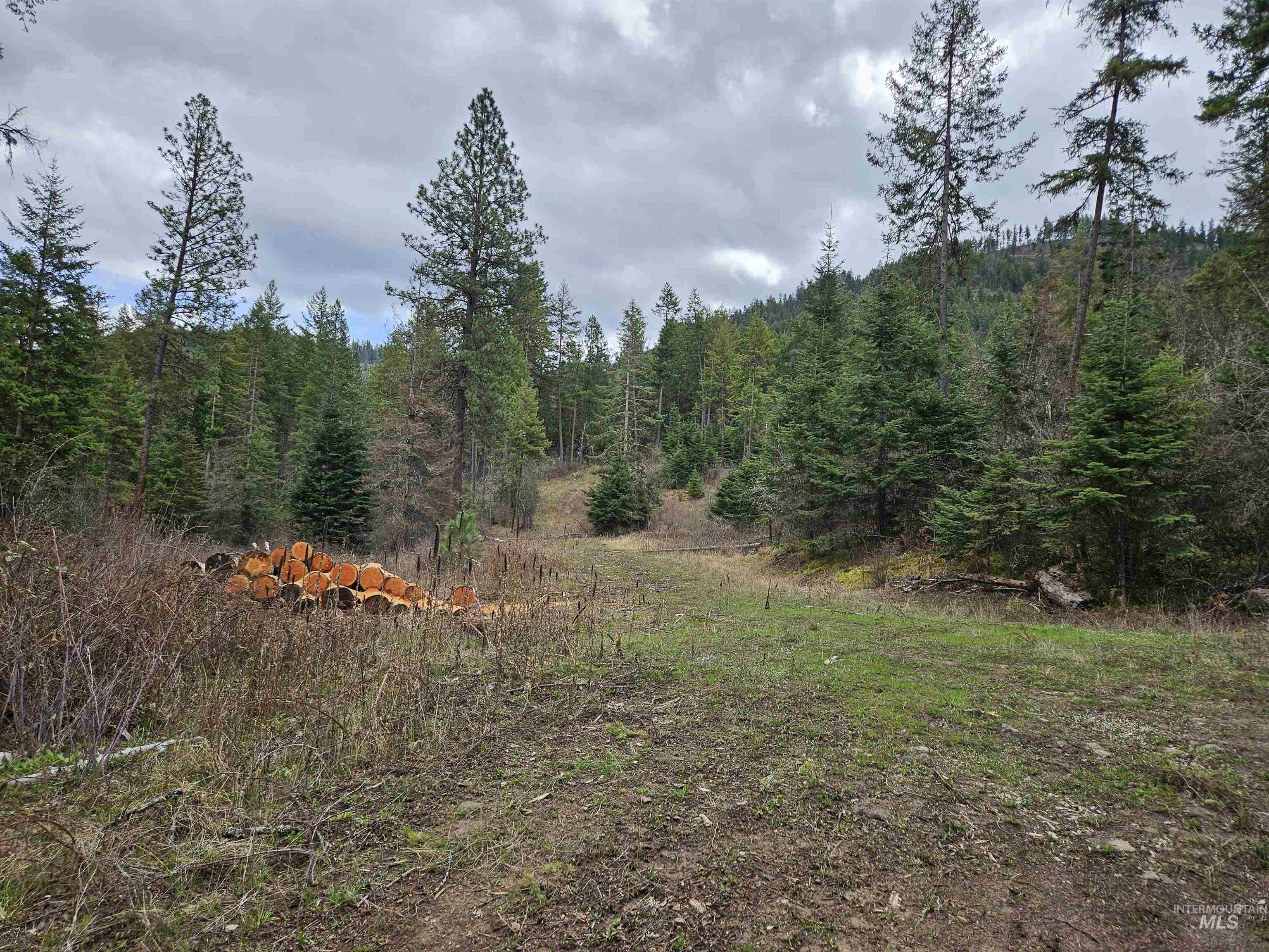 TBD O'Brien, Orofino, Idaho 83544, Land For Sale, Price $549,900,MLS 98980747