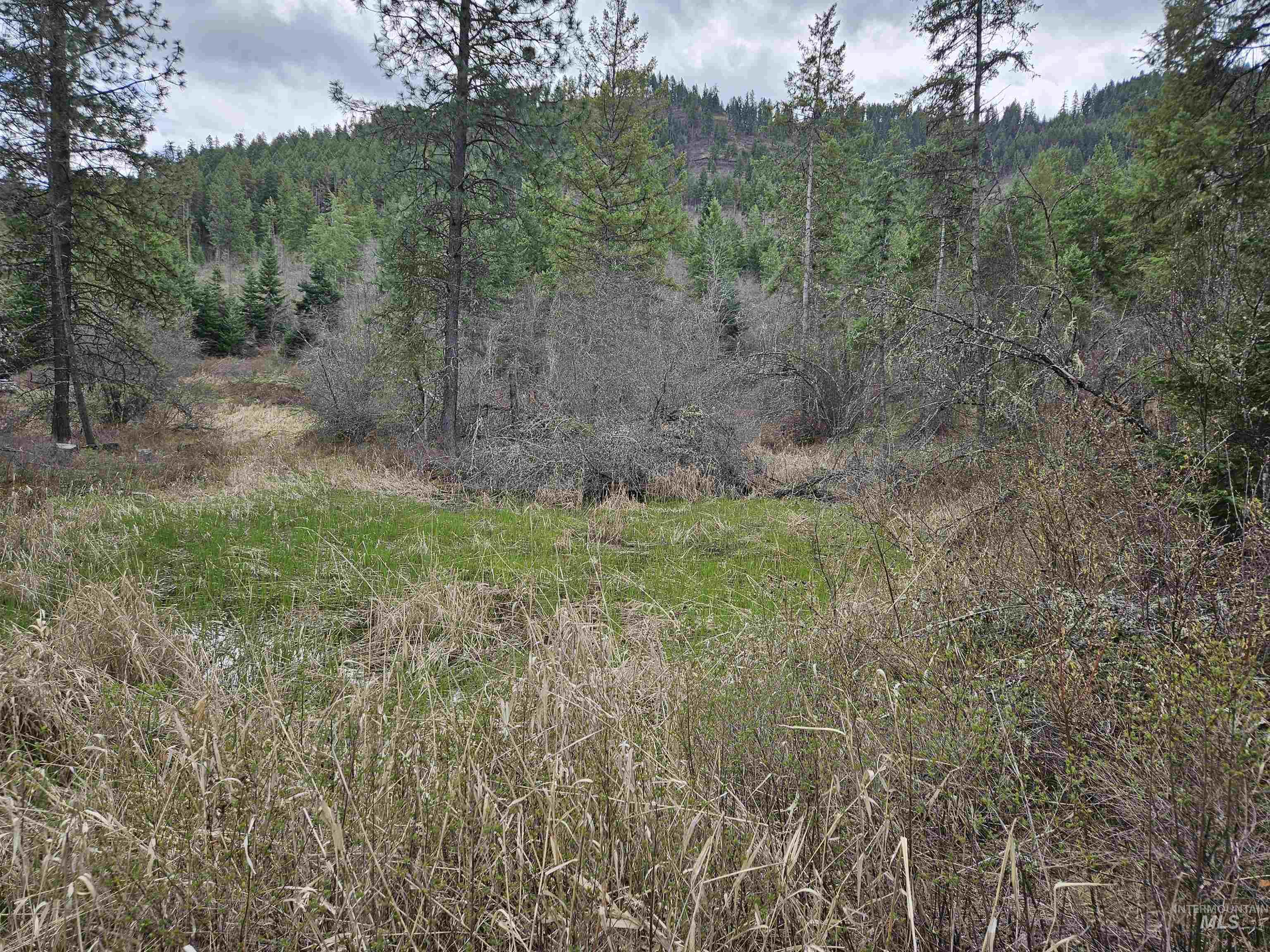 TBD O'Brien, Orofino, Idaho 83544, Land For Sale, Price $549,900,MLS 98980747