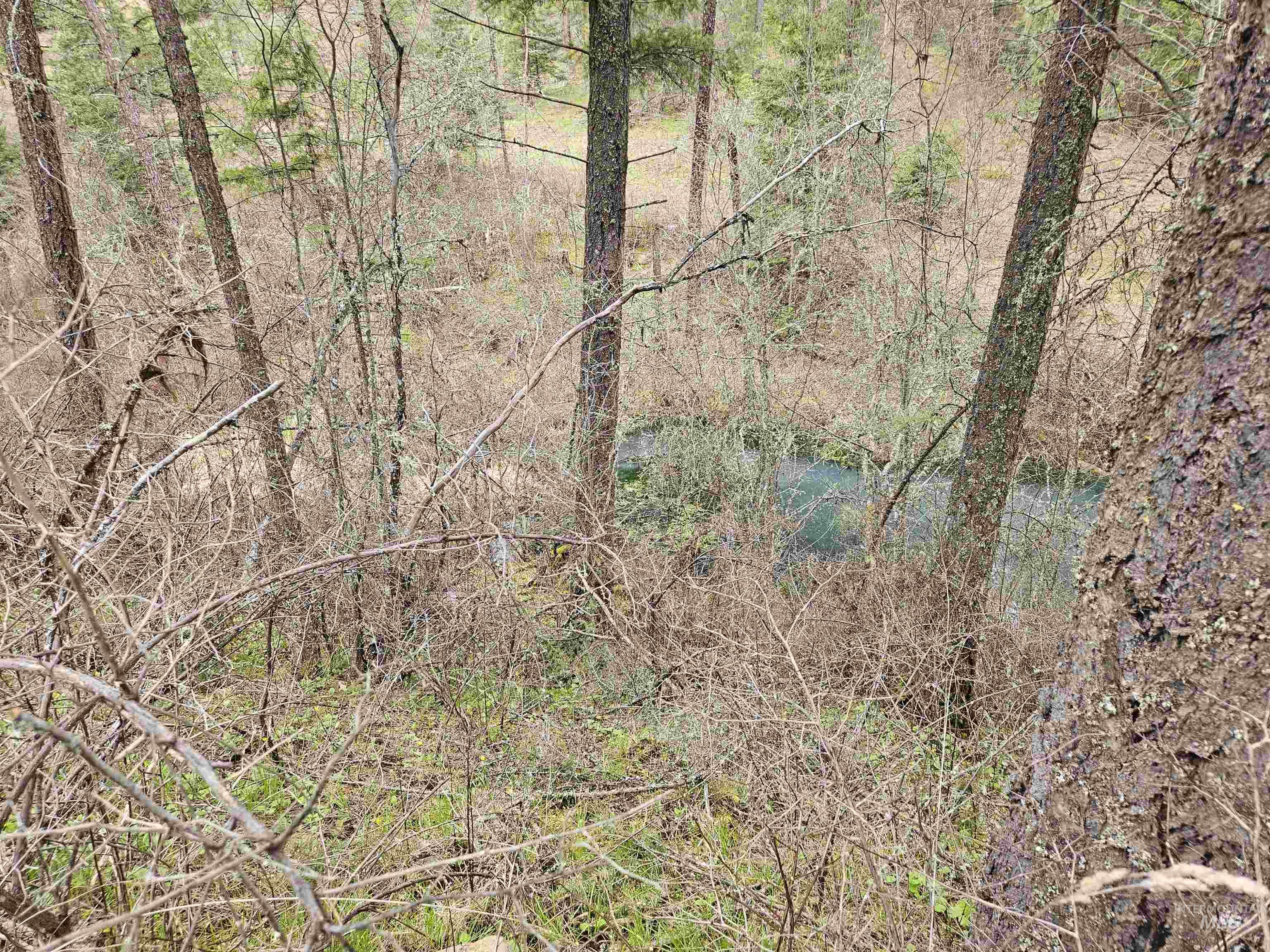 TBD O'Brien, Orofino, Idaho 83544, Land For Sale, Price $549,900,MLS 98980747