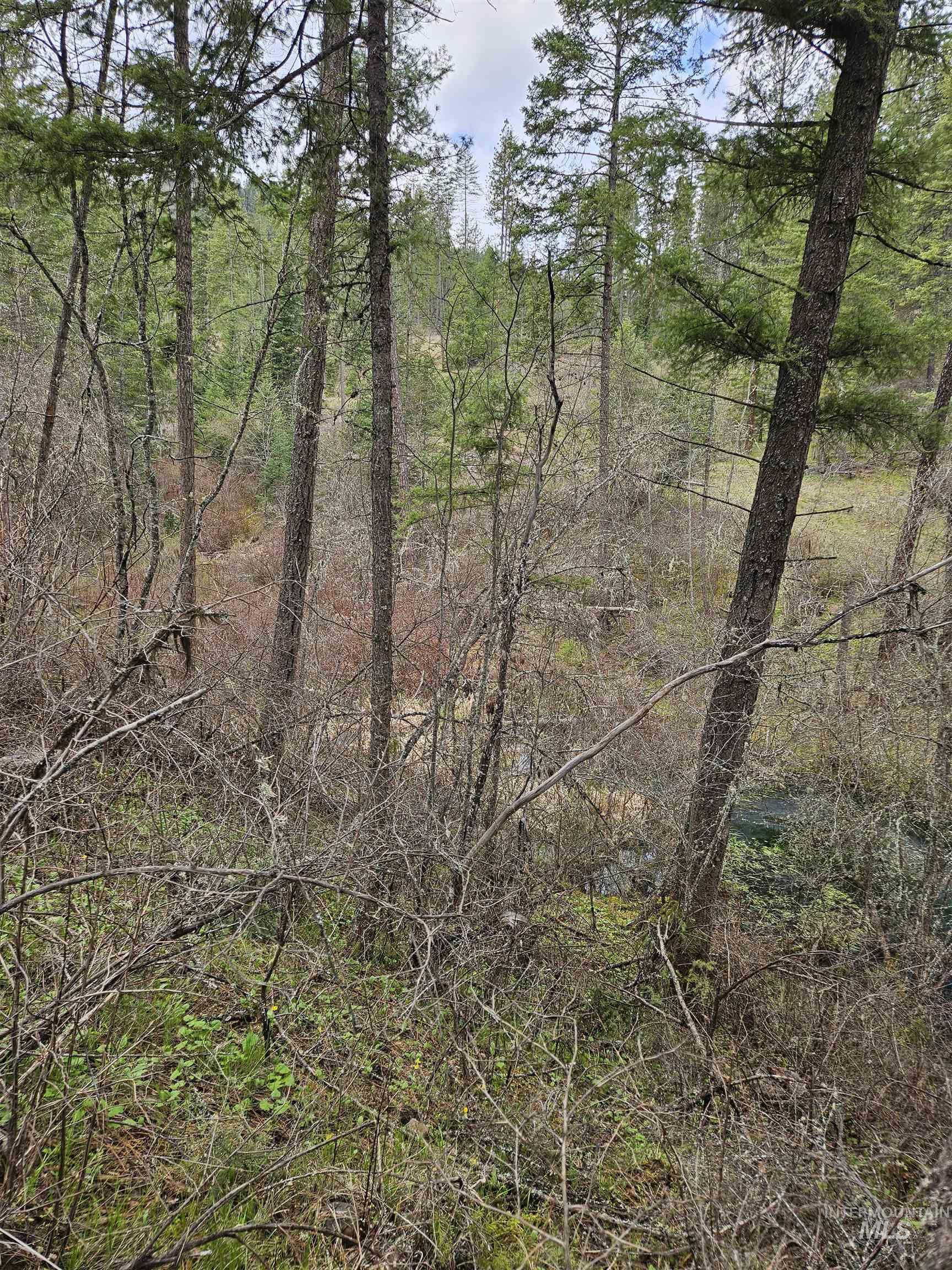 TBD O'Brien, Orofino, Idaho 83544, Land For Sale, Price $549,900,MLS 98980747