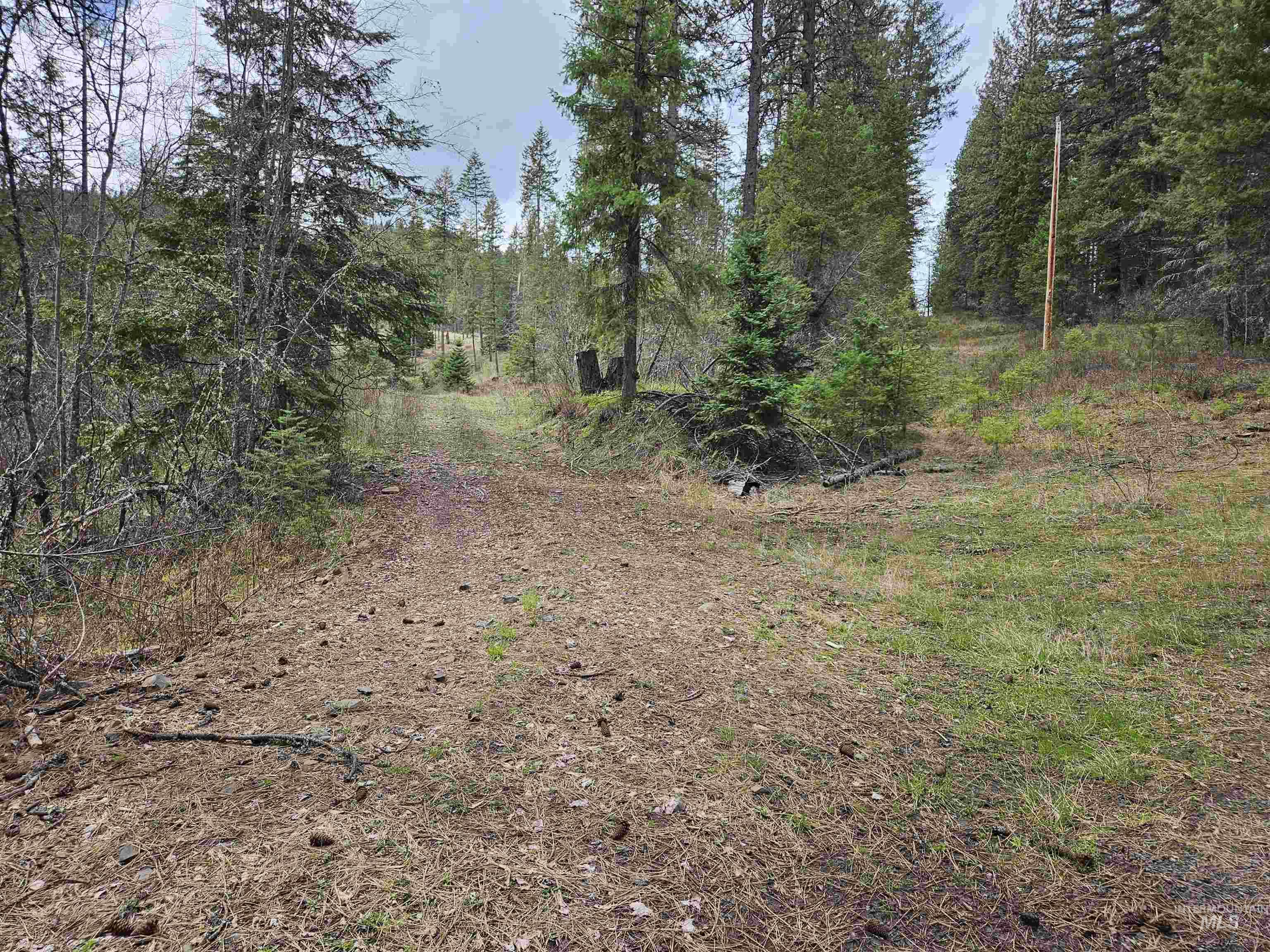 TBD O'Brien, Orofino, Idaho 83544, Land For Sale, Price $549,900,MLS 98980747