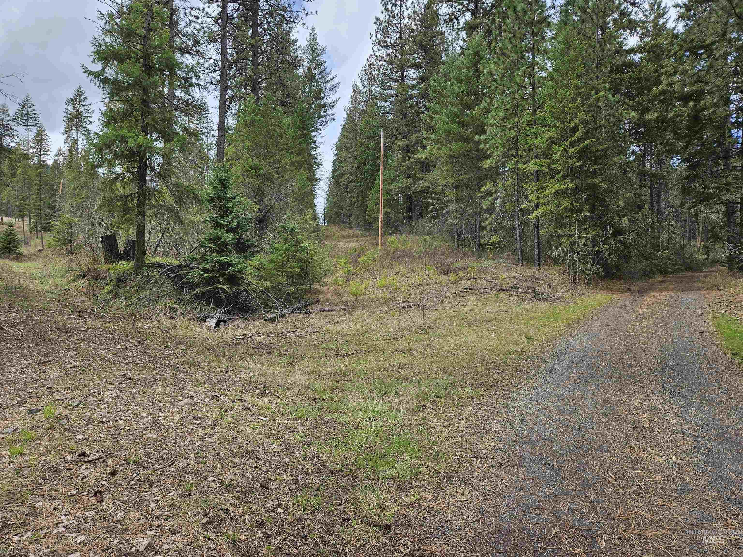TBD O'Brien, Orofino, Idaho 83544, Land For Sale, Price $549,900,MLS 98980747