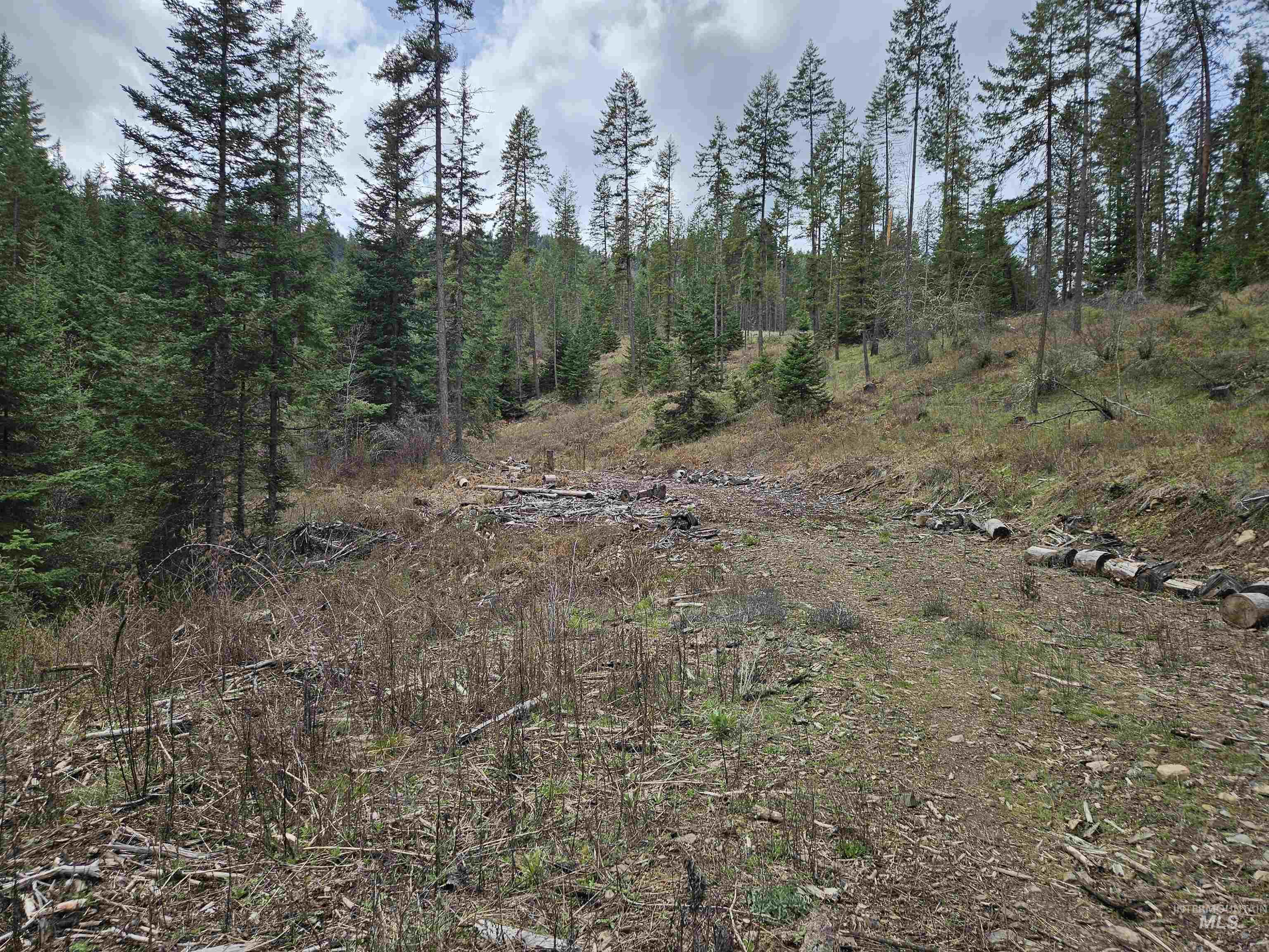 TBD O'Brien, Orofino, Idaho 83544, Land For Sale, Price $549,900,MLS 98980747