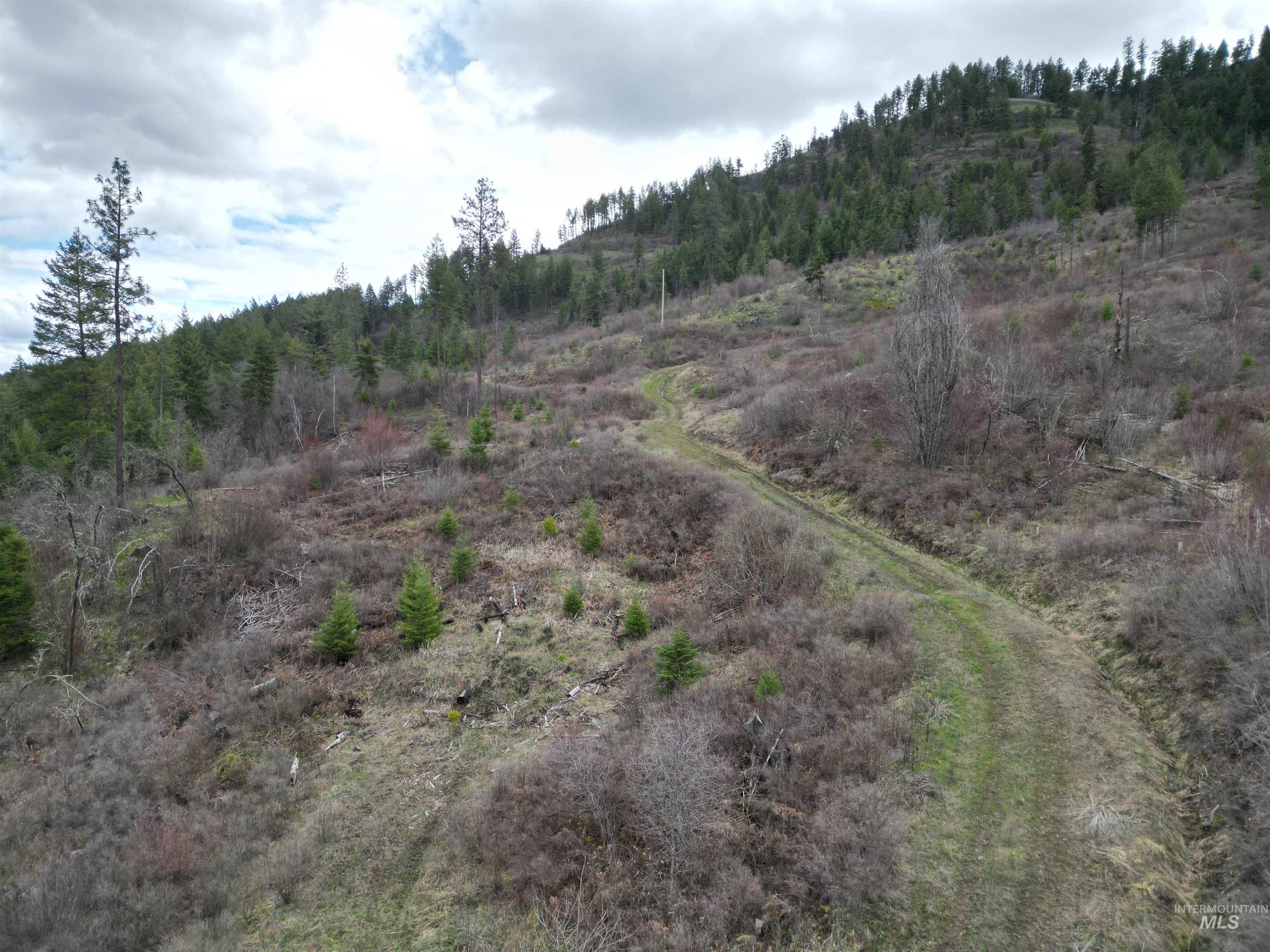 TBD O'Brien, Orofino, Idaho 83544, Land For Sale, Price $549,900,MLS 98980747