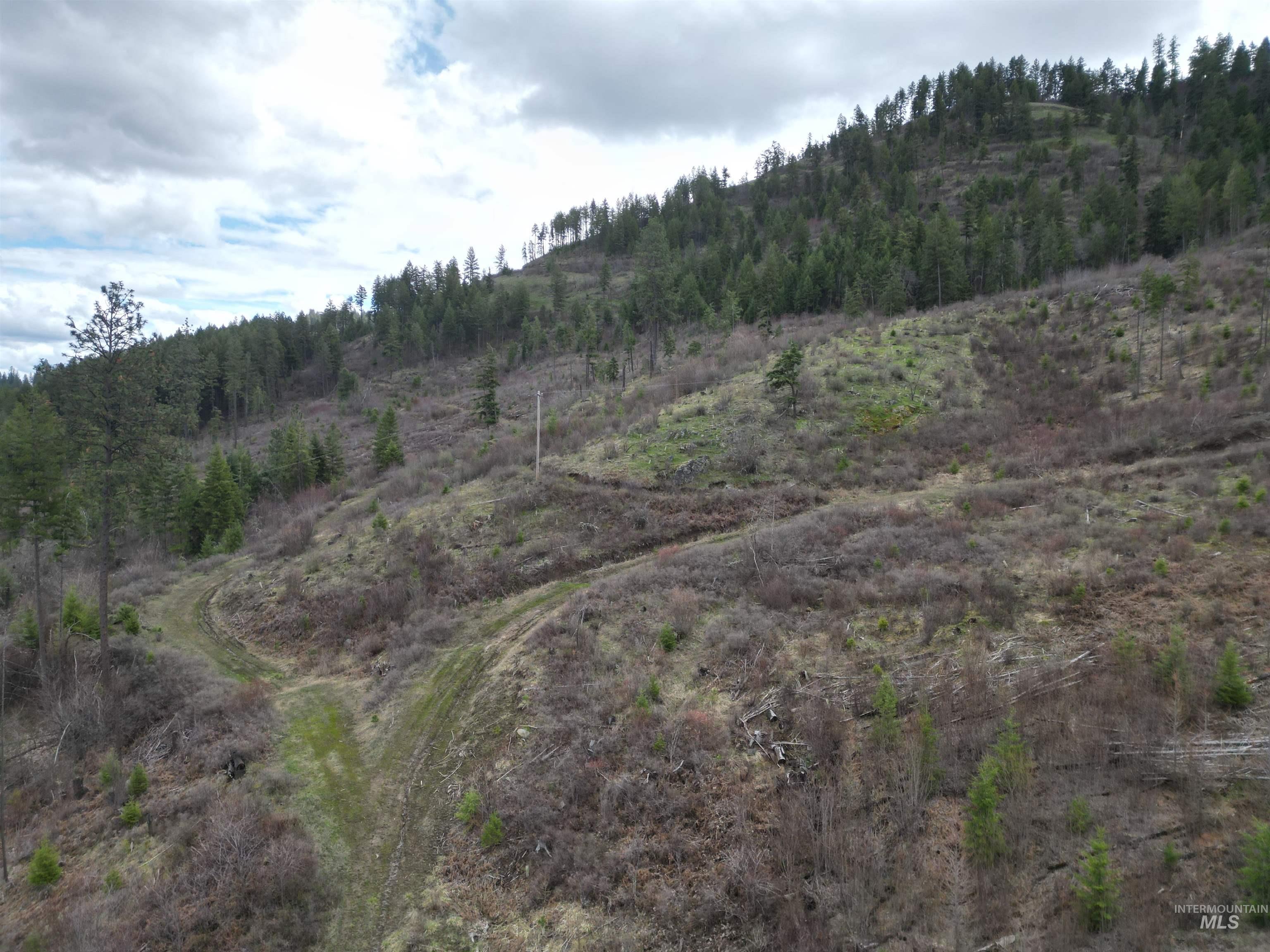 TBD O'Brien, Orofino, Idaho 83544, Land For Sale, Price $549,900,MLS 98980747