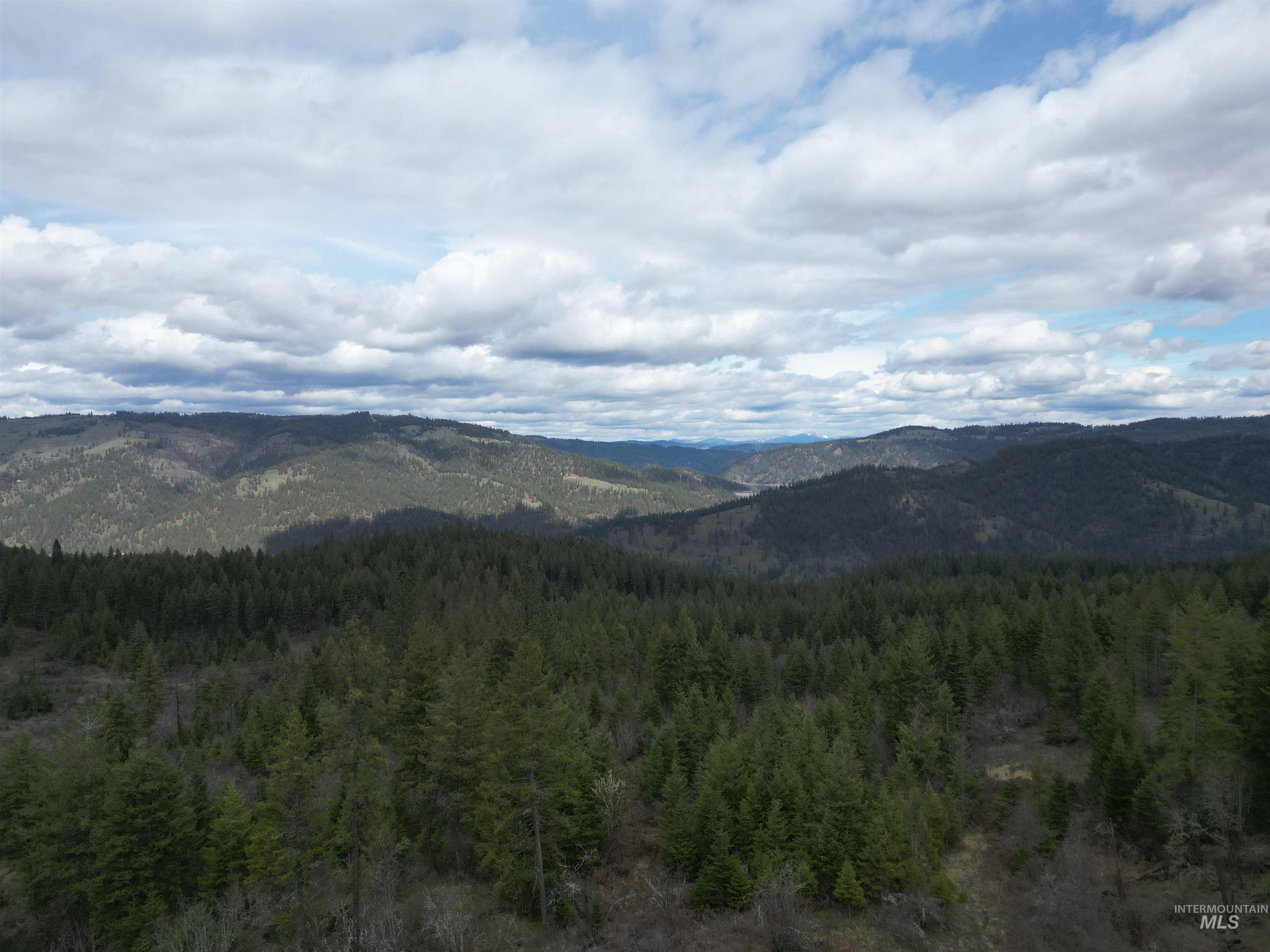 TBD O'Brien, Orofino, Idaho 83544, Land For Sale, Price $549,900,MLS 98980747