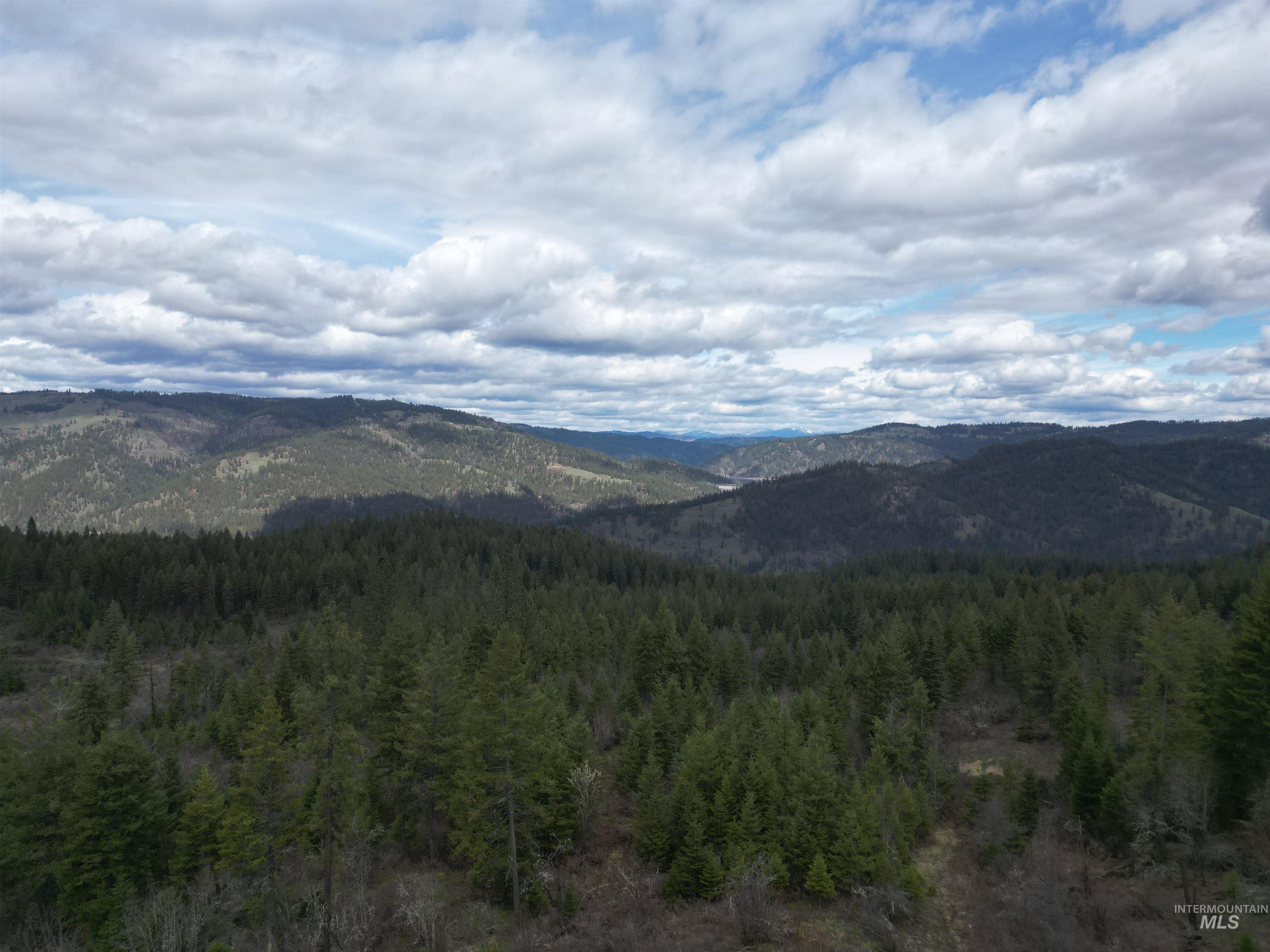 TBD O'Brien, Orofino, Idaho 83544, Land For Sale, Price $549,900,MLS 98980747