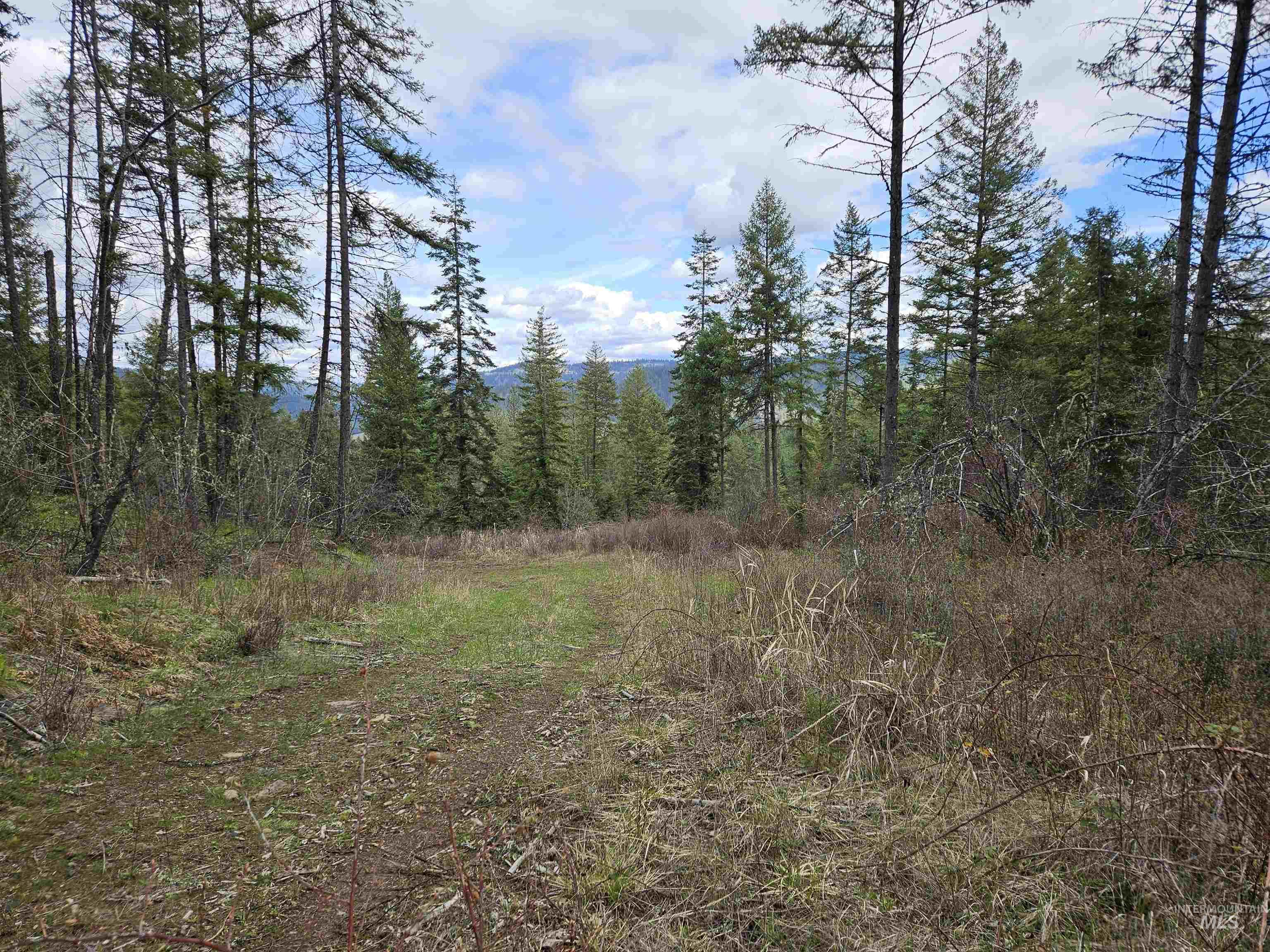 TBD O'Brien, Orofino, Idaho 83544, Land For Sale, Price $549,900,MLS 98980747