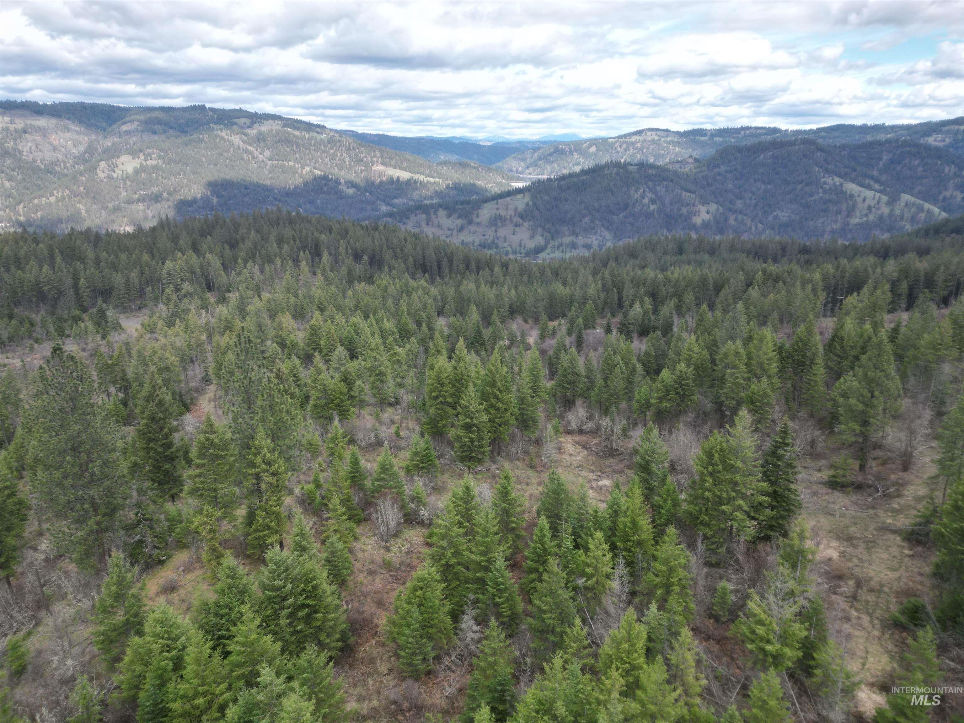 TBD O'Brien, Orofino, Idaho 83544, Land For Sale, Price $549,900,MLS 98980747