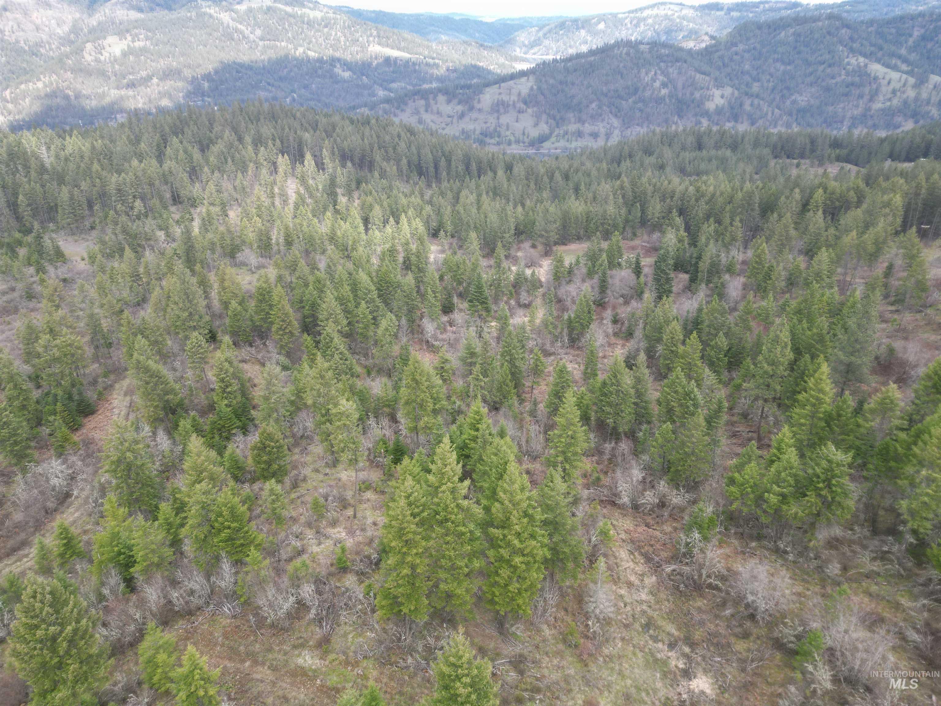 TBD O'Brien, Orofino, Idaho 83544, Land For Sale, Price $549,900,MLS 98980747