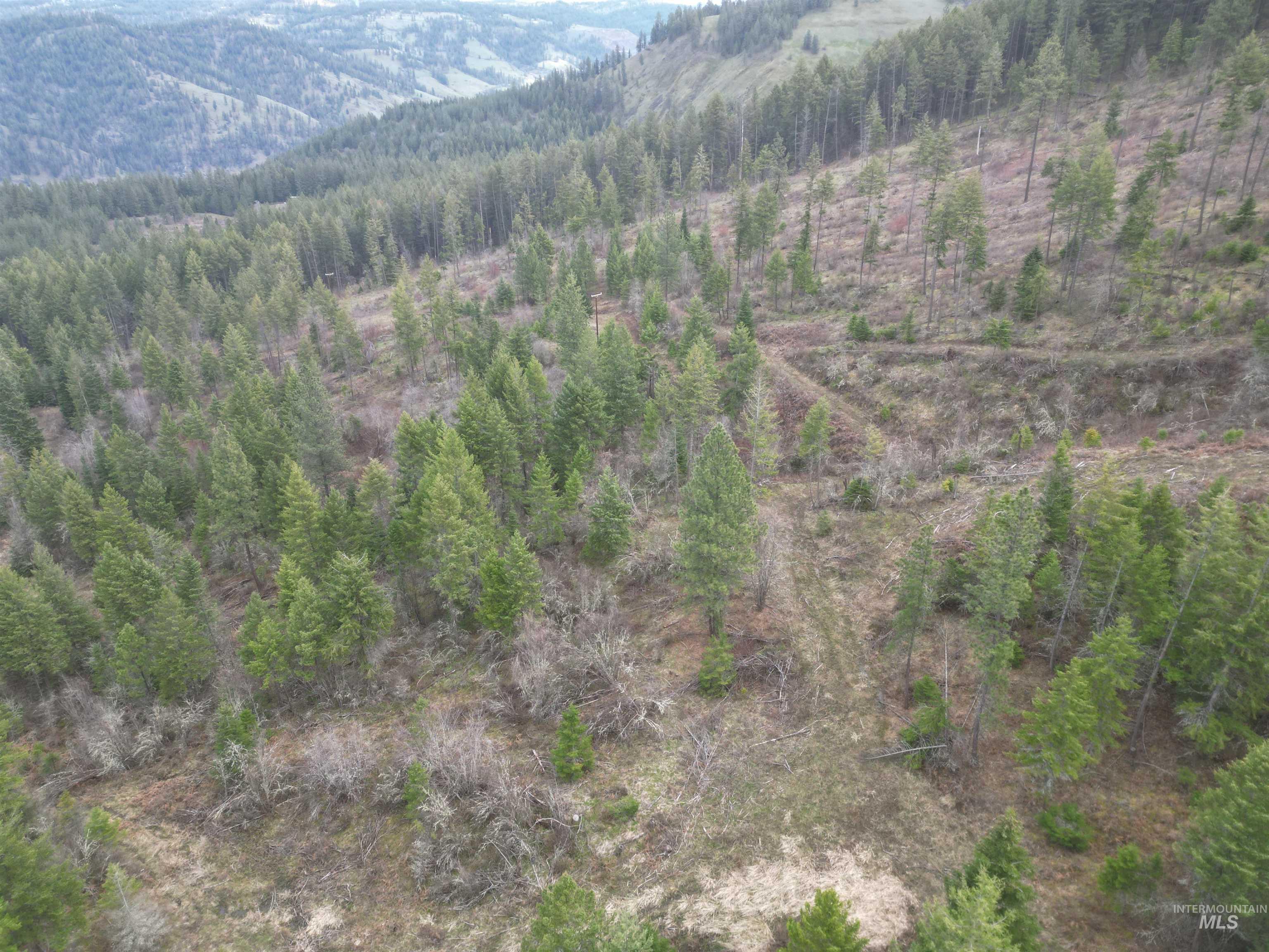 TBD O'Brien, Orofino, Idaho 83544, Land For Sale, Price $549,900,MLS 98980747