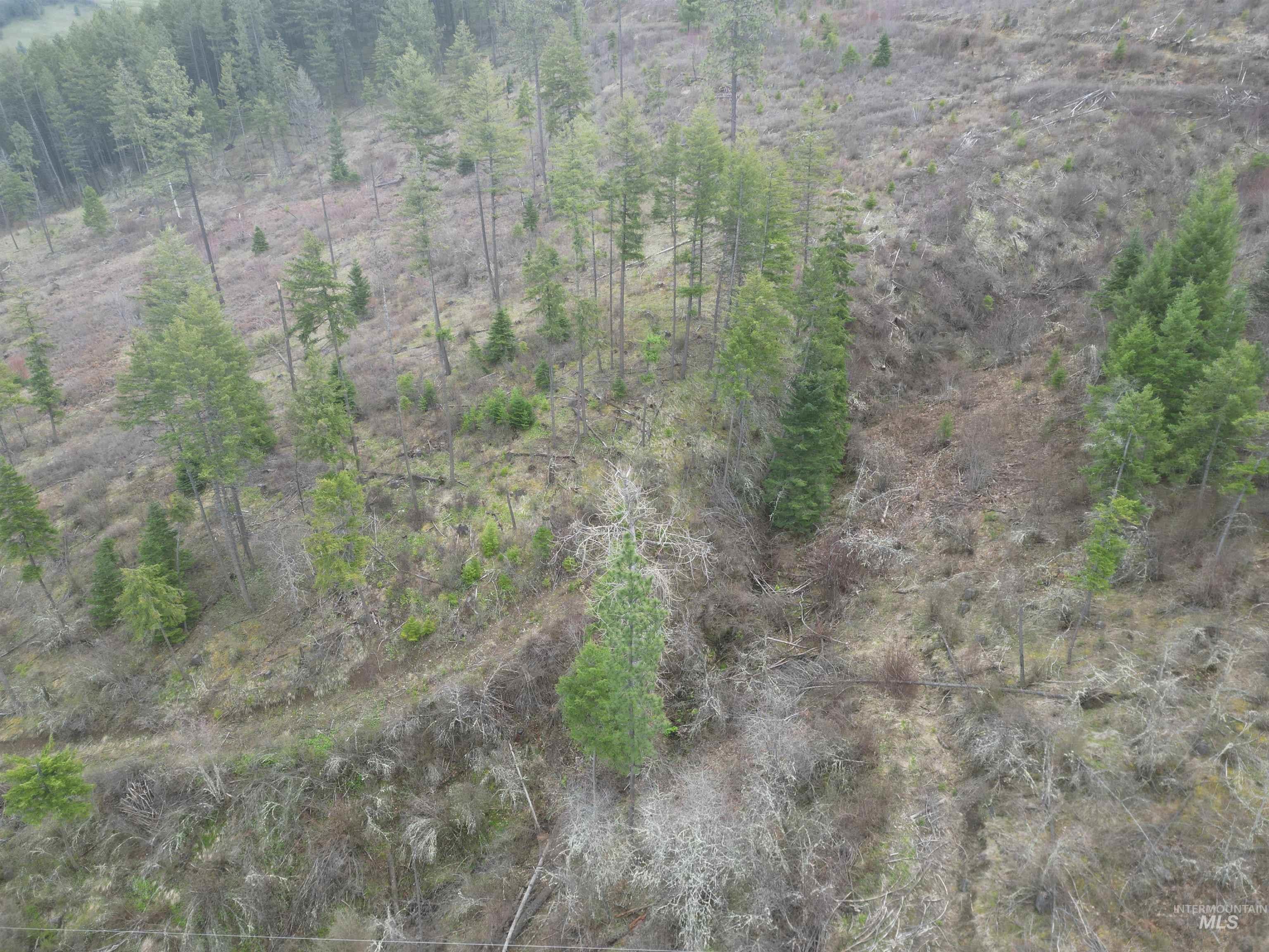 TBD O'Brien, Orofino, Idaho 83544, Land For Sale, Price $549,900,MLS 98980747