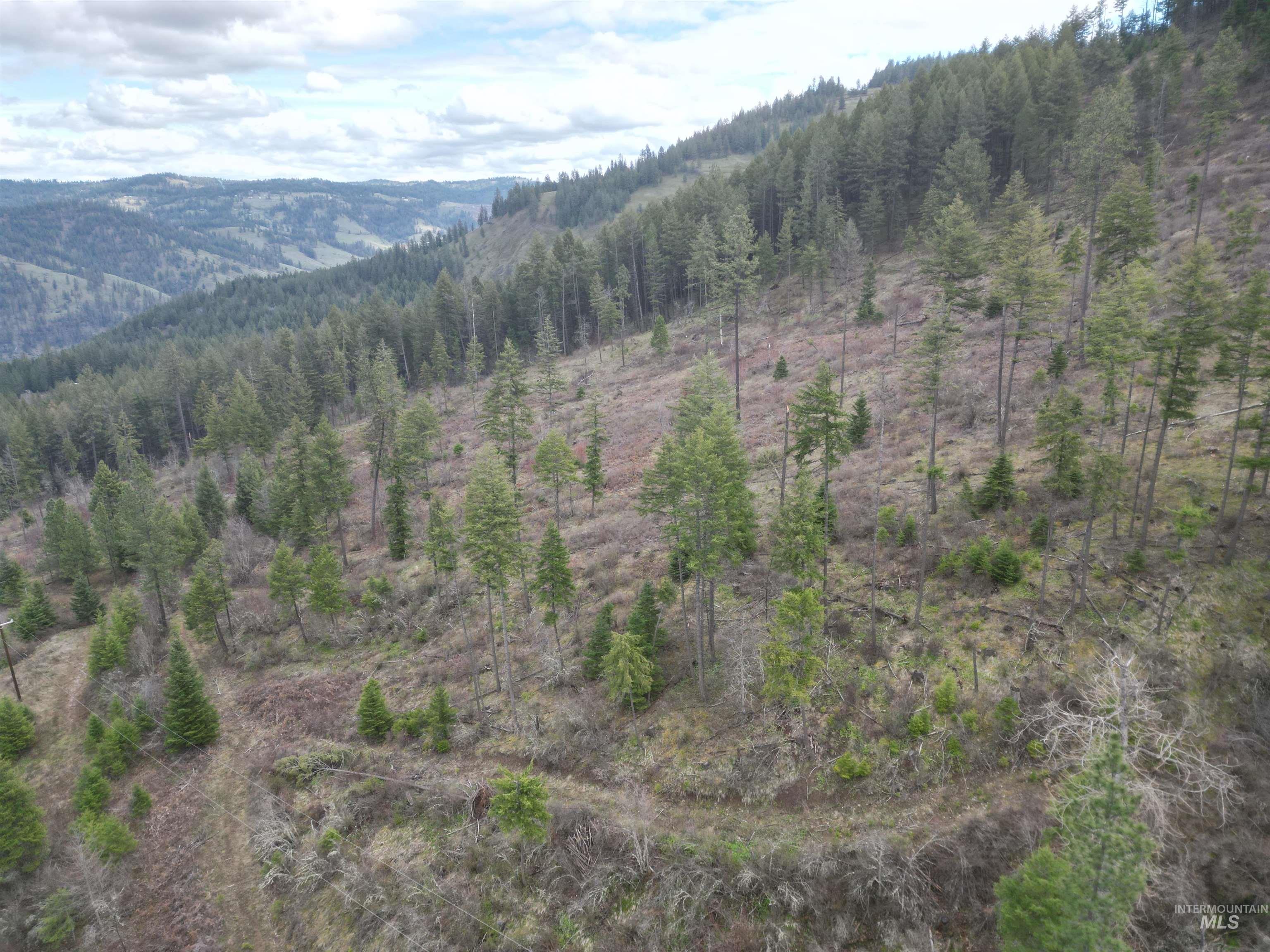 TBD O'Brien, Orofino, Idaho 83544, Land For Sale, Price $549,900,MLS 98980747