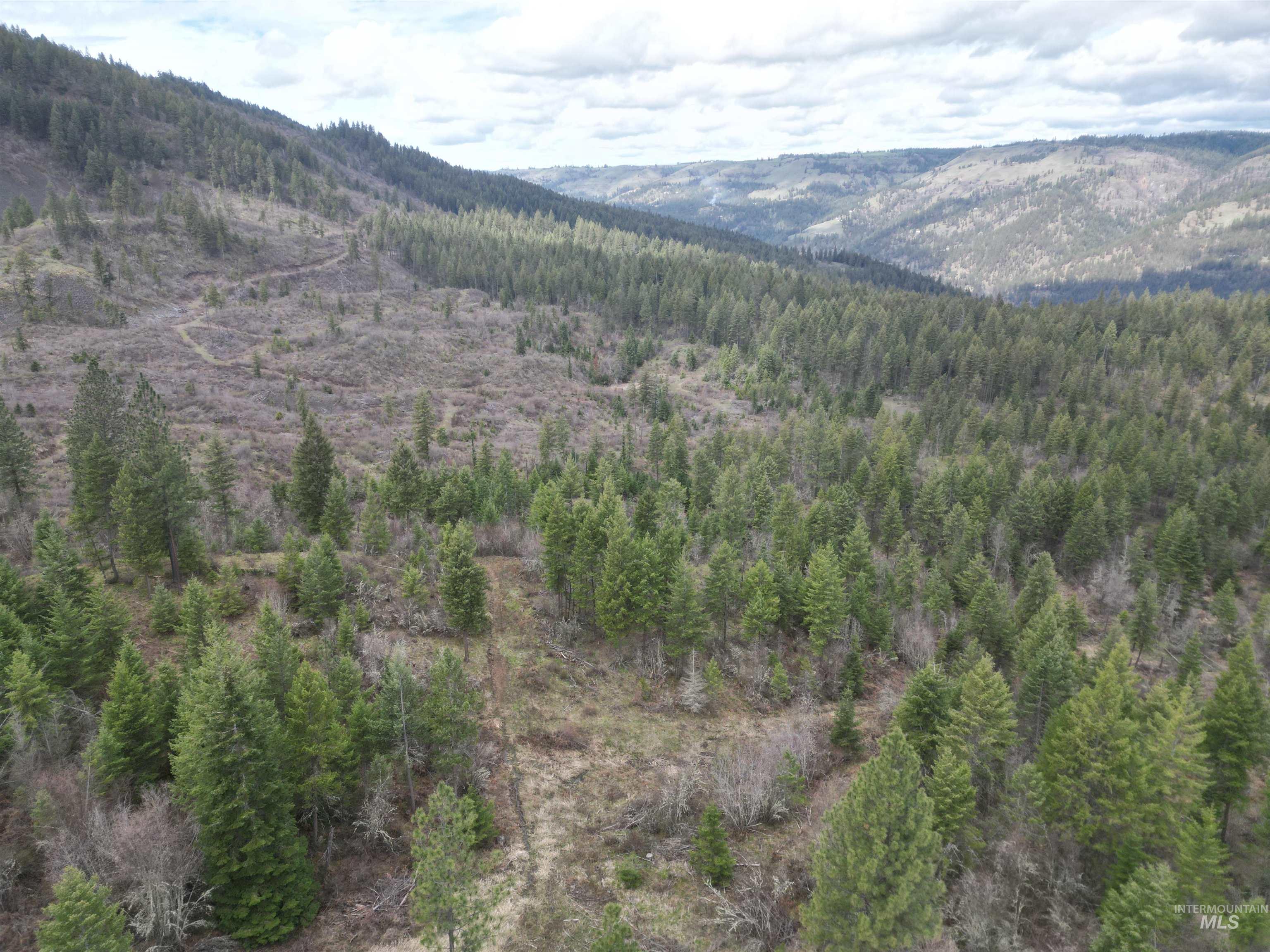 TBD O'Brien, Orofino, Idaho 83544, Land For Sale, Price $549,900,MLS 98980747