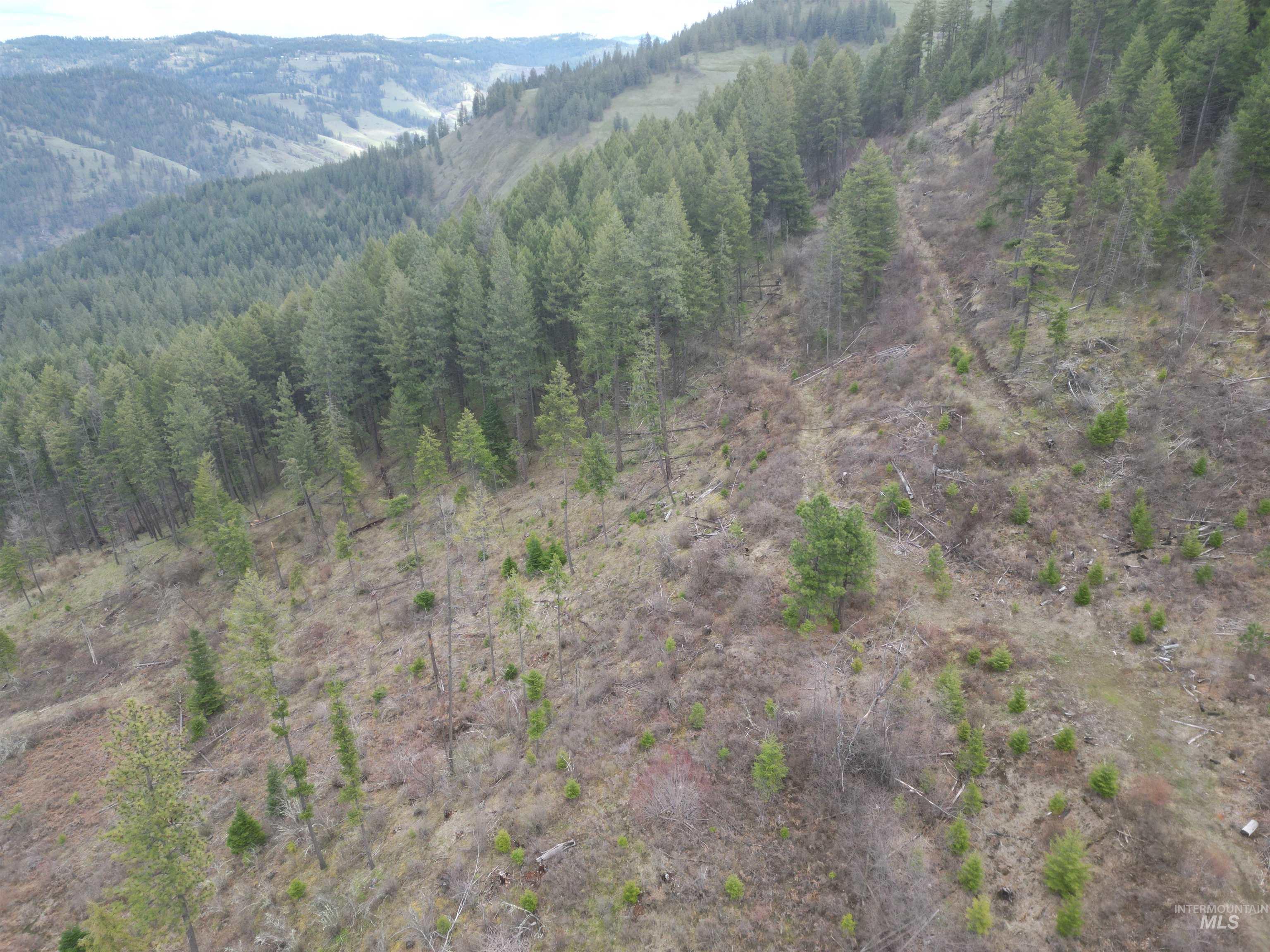 TBD O'Brien, Orofino, Idaho 83544, Land For Sale, Price $549,900,MLS 98980747