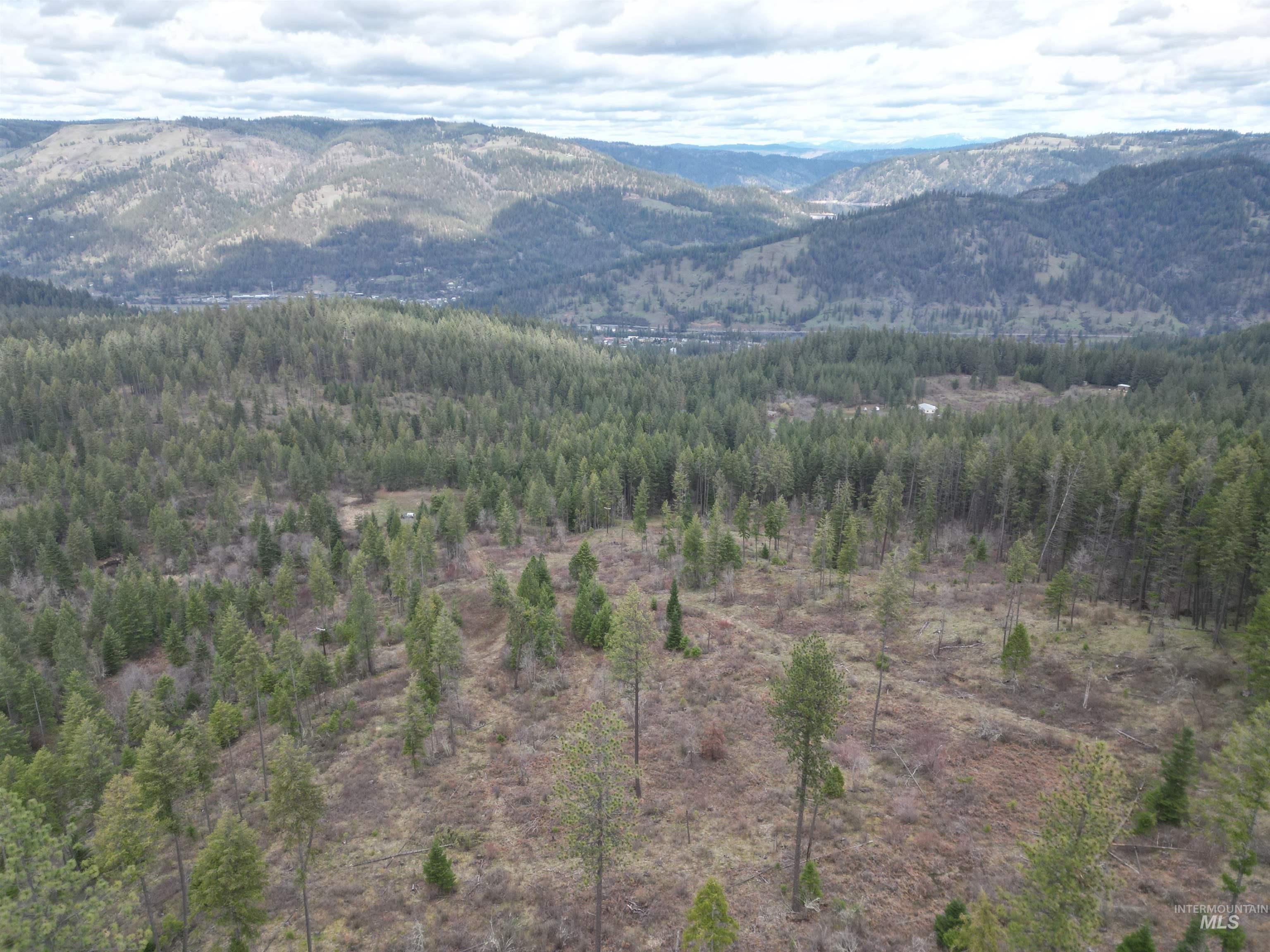 TBD O'Brien, Orofino, Idaho 83544, Land For Sale, Price $549,900,MLS 98980747