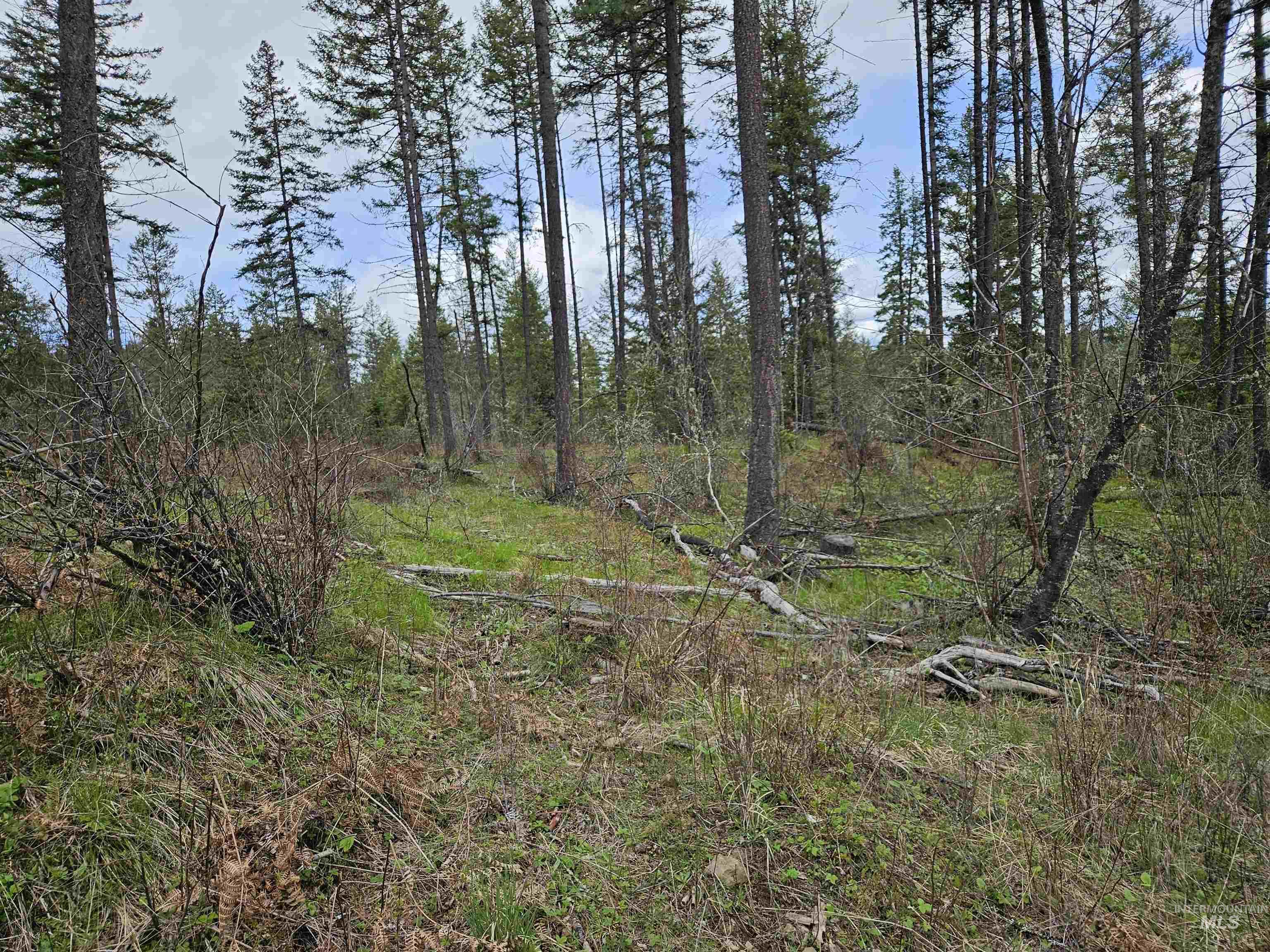 TBD O'Brien, Orofino, Idaho 83544, Land For Sale, Price $549,900,MLS 98980747