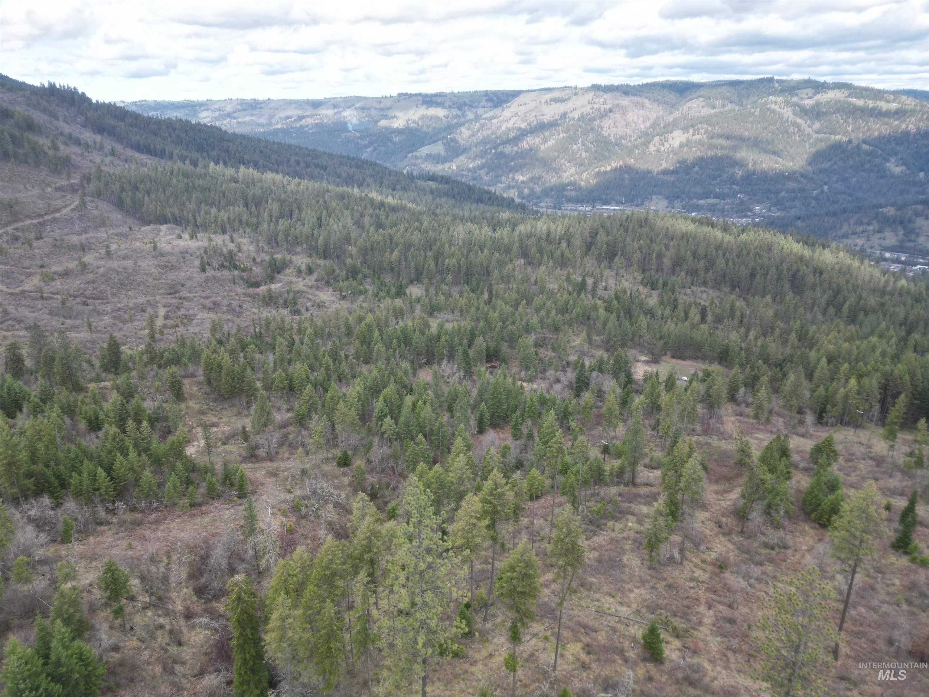 TBD O'Brien, Orofino, Idaho 83544, Land For Sale, Price $549,900,MLS 98980747