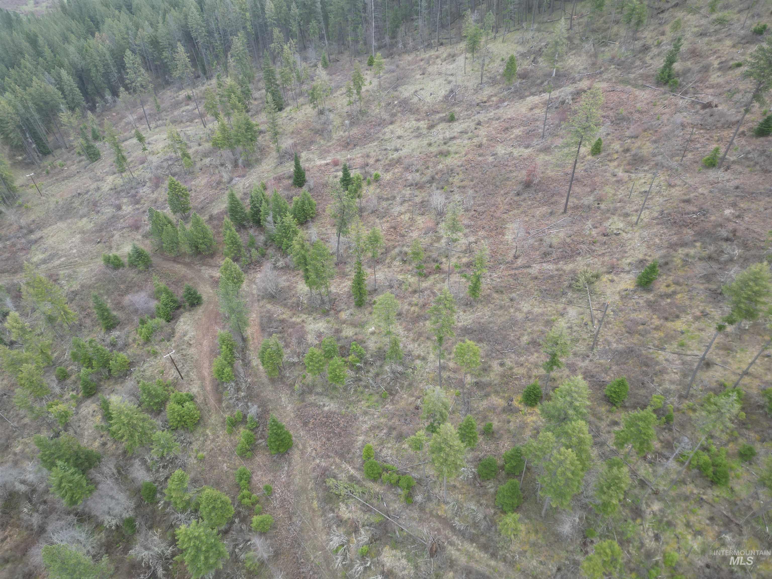 TBD O'Brien, Orofino, Idaho 83544, Land For Sale, Price $549,900,MLS 98980747