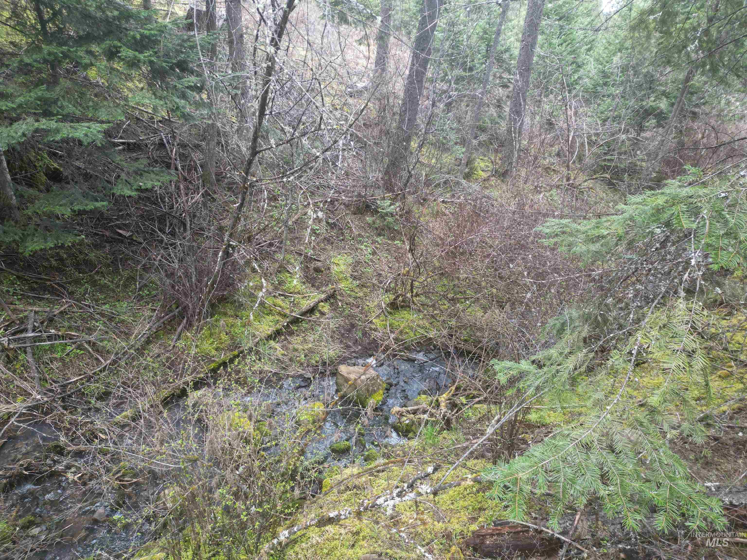 TBD O'Brien, Orofino, Idaho 83544, Land For Sale, Price $549,900,MLS 98980747