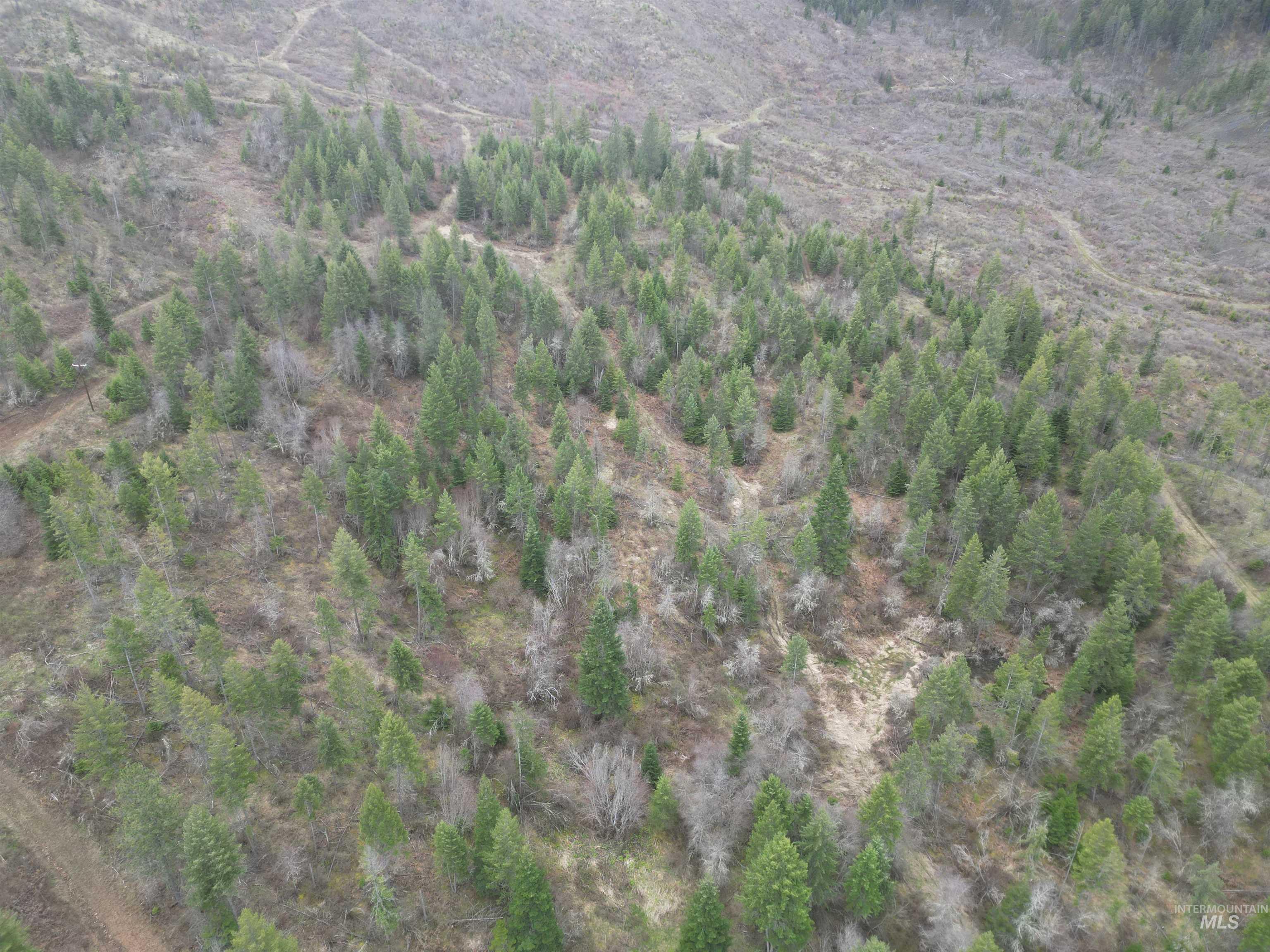 TBD O'Brien, Orofino, Idaho 83544, Land For Sale, Price $549,900,MLS 98980747