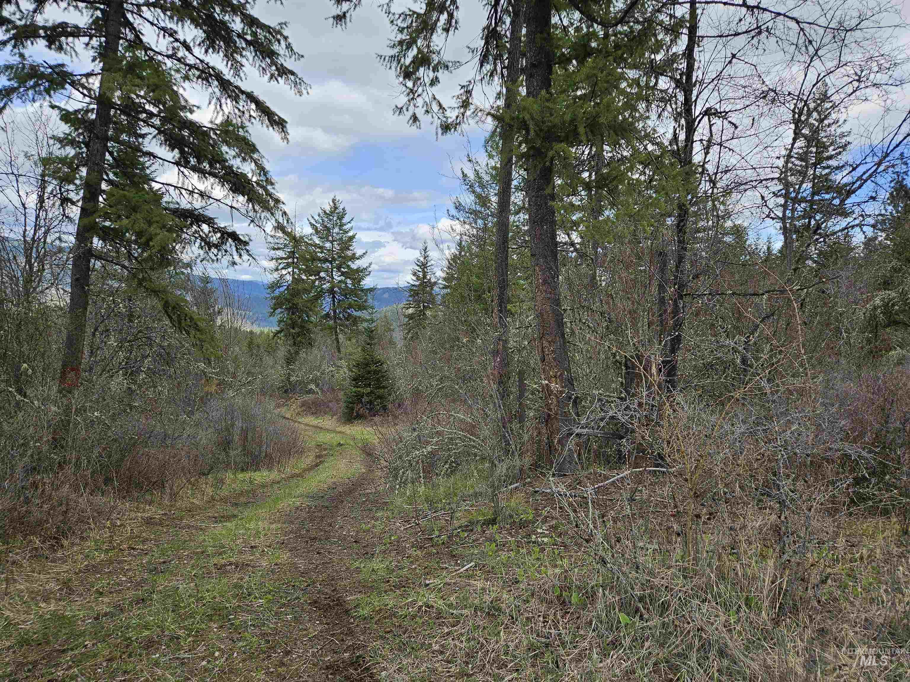 TBD O'Brien, Orofino, Idaho 83544, Land For Sale, Price $549,900,MLS 98980747