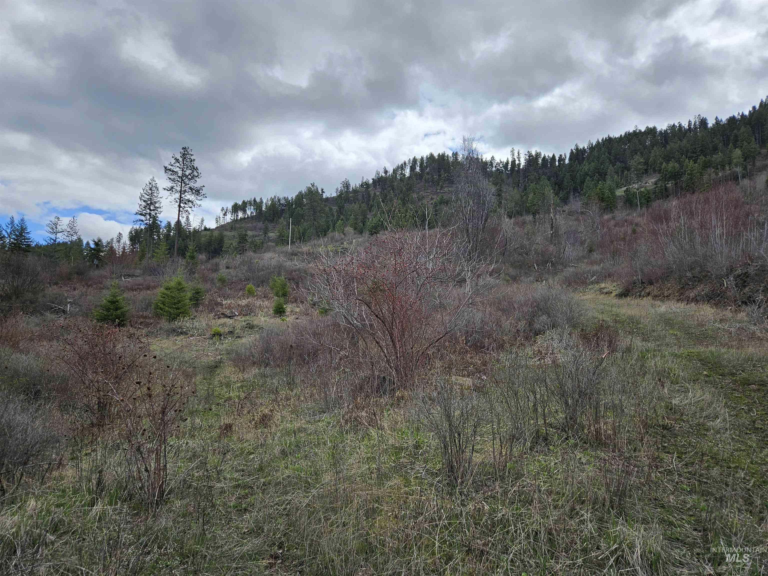 TBD O'Brien, Orofino, Idaho 83544, Land For Sale, Price $549,900,MLS 98980747