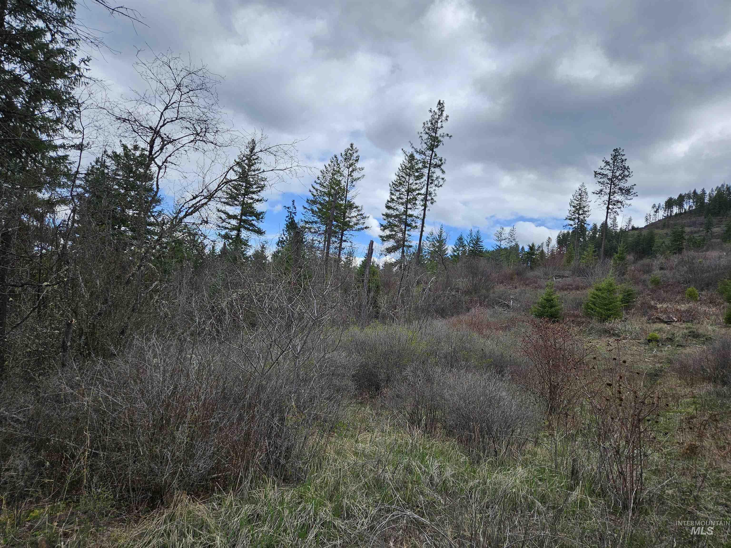 TBD O'Brien, Orofino, Idaho 83544, Land For Sale, Price $549,900,MLS 98980747