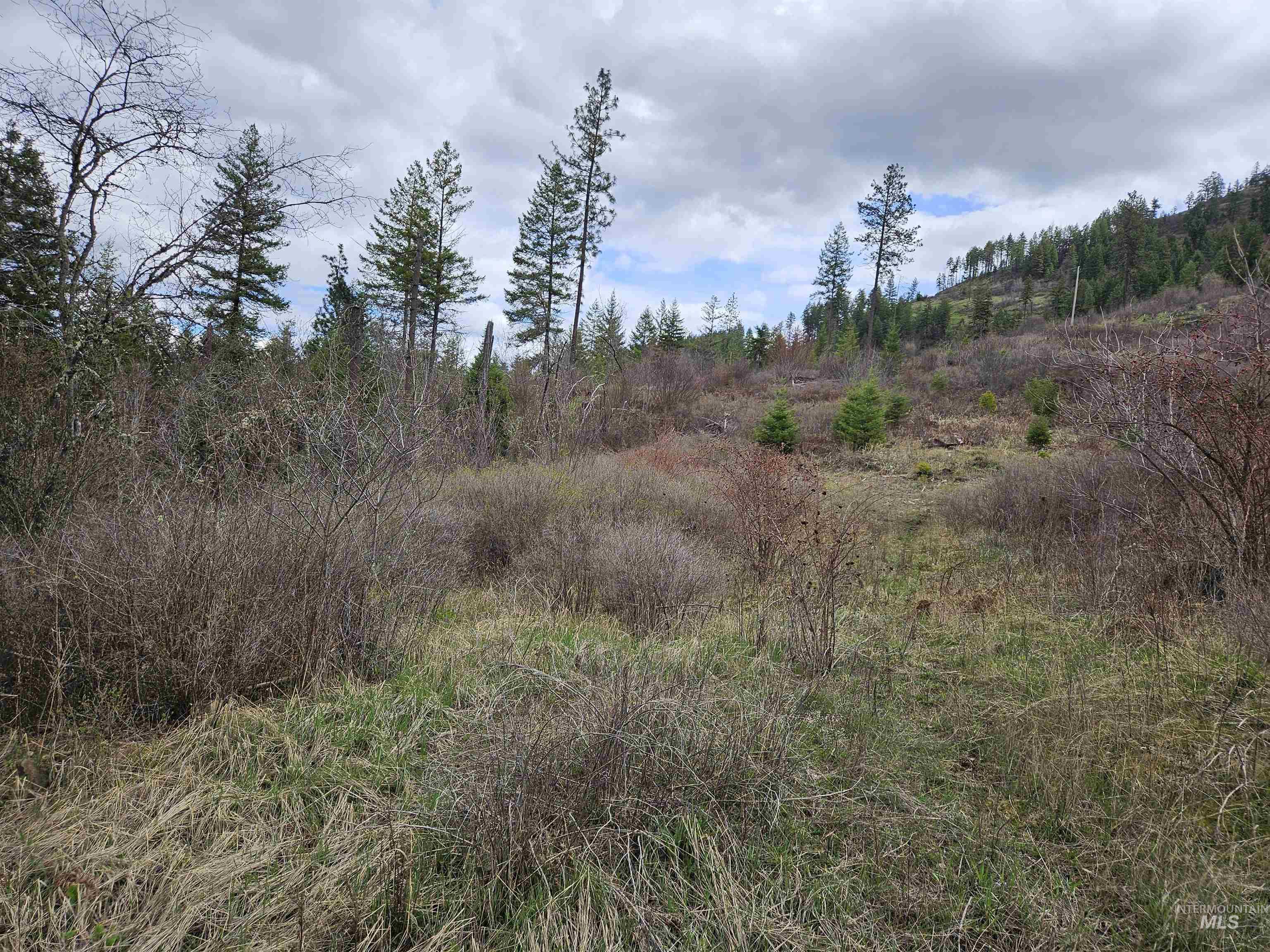 TBD O'Brien, Orofino, Idaho 83544, Land For Sale, Price $549,900,MLS 98980747