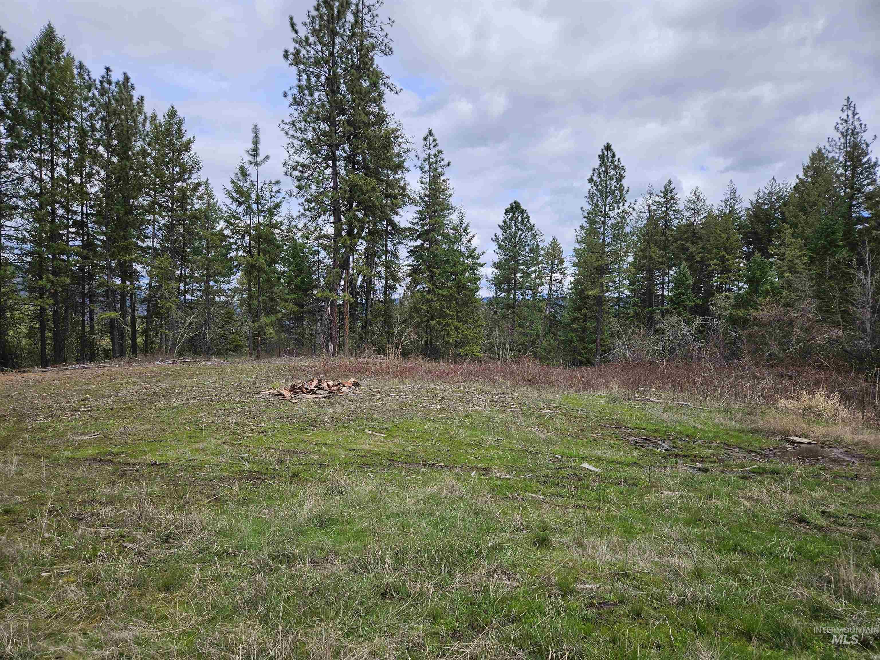 TBD O'Brien, Orofino, Idaho 83544, Land For Sale, Price $549,900,MLS 98980747
