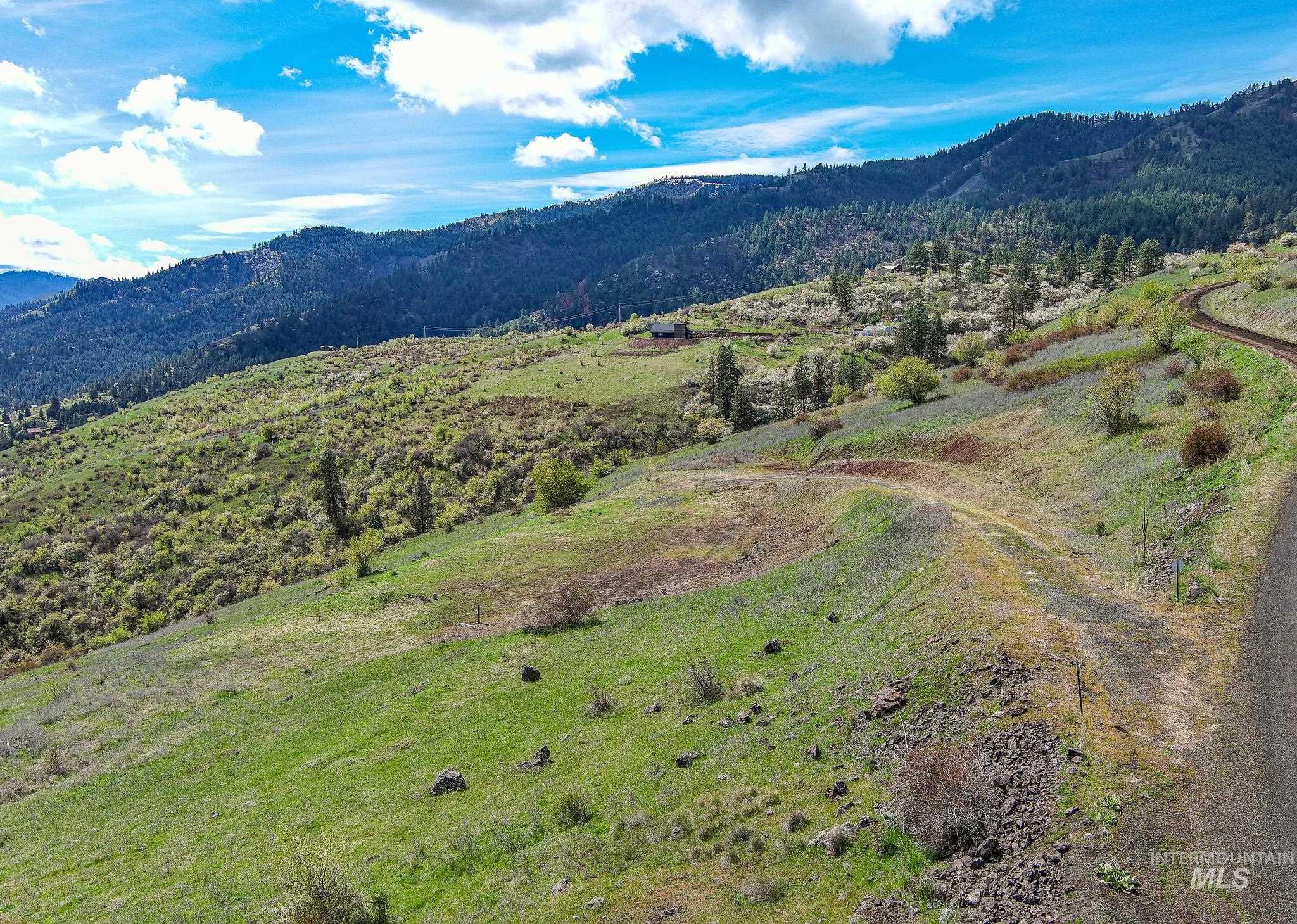 165 MOUNTAIN VIEW RD, White Bird, Idaho 83554, Land For Sale, Price $170,000, 98980751