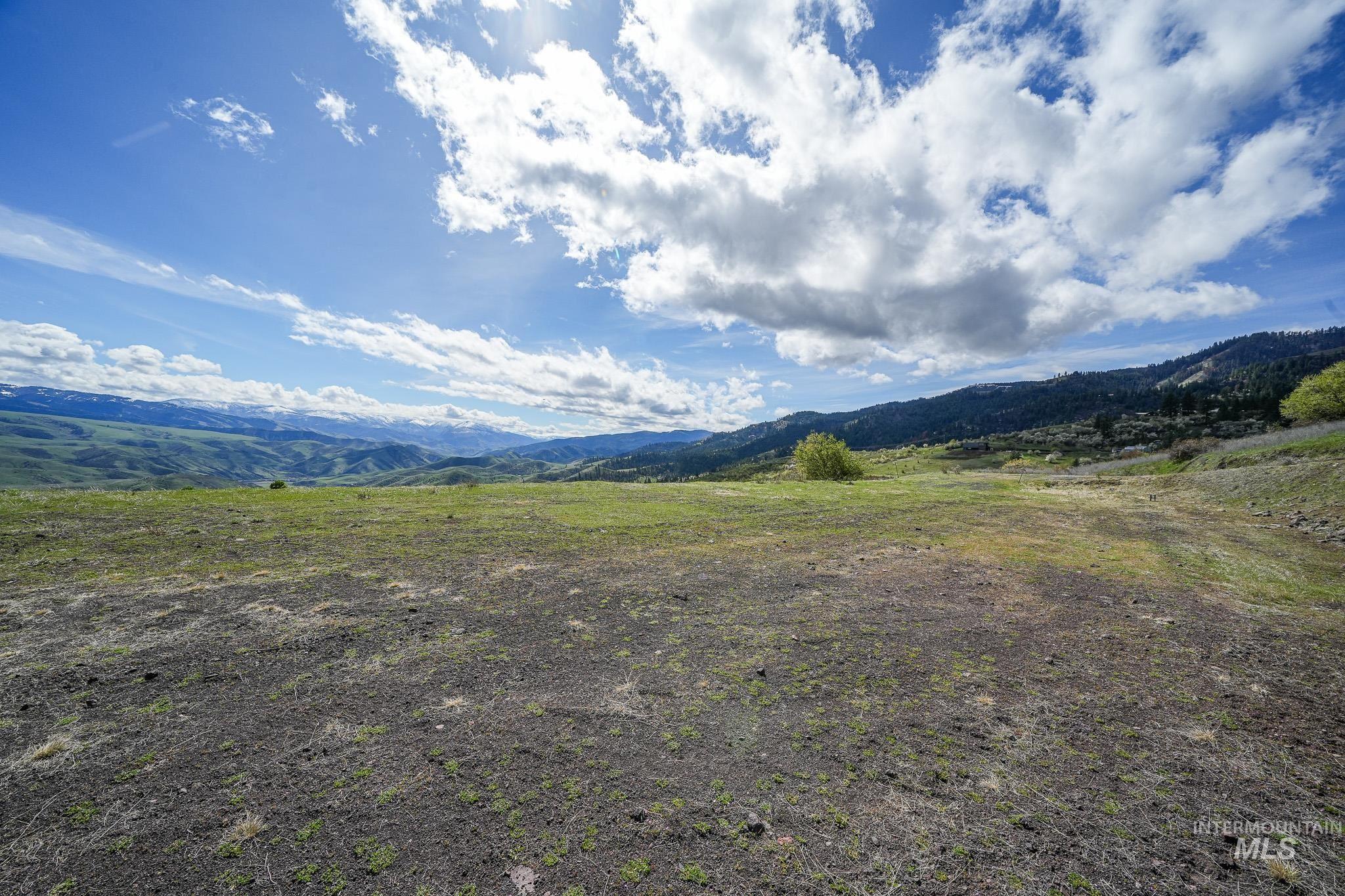 165 MOUNTAIN VIEW RD, White Bird, Idaho 83554, Land For Sale, Price $170,000, 98980751