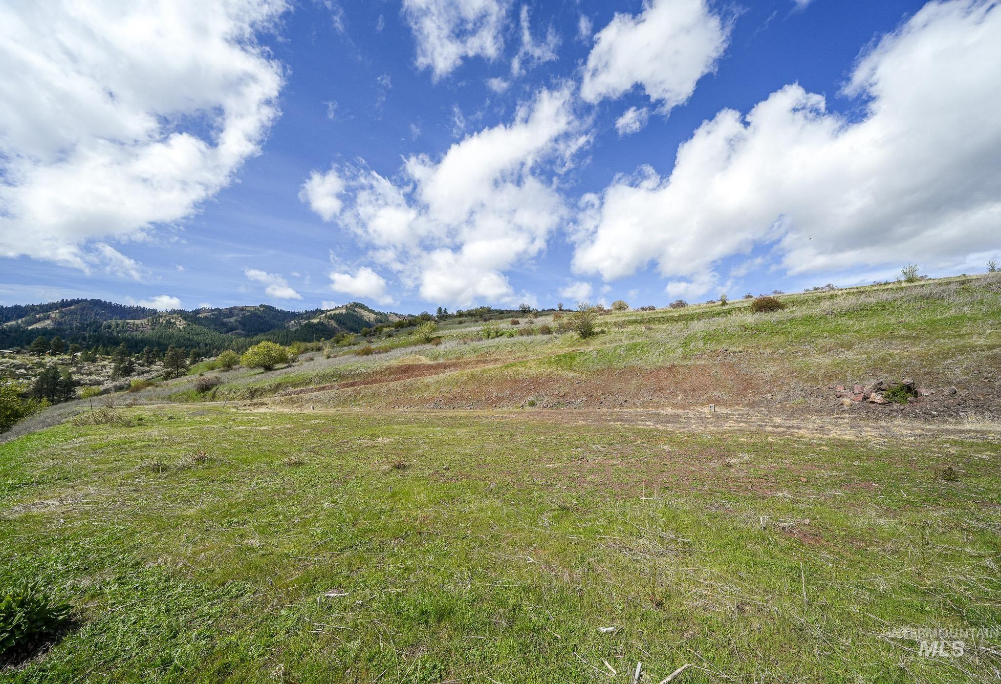 165 MOUNTAIN VIEW RD, White Bird, Idaho 83554, Land For Sale, Price $170,000, 98980751