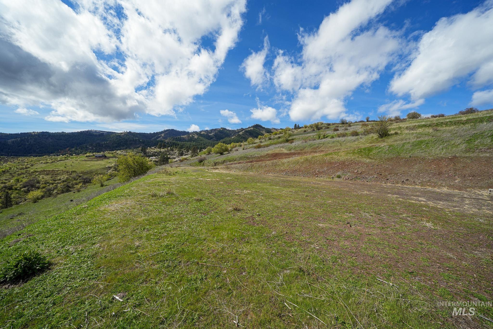 165 MOUNTAIN VIEW RD, White Bird, Idaho 83554, Land For Sale, Price $170,000, 98980751
